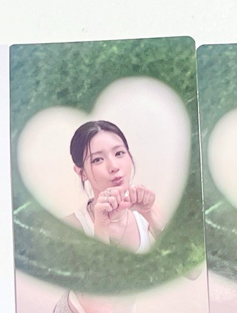 短尾矮袋鼠 愛心葉子