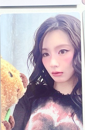 兩隻短尾矮袋鼠