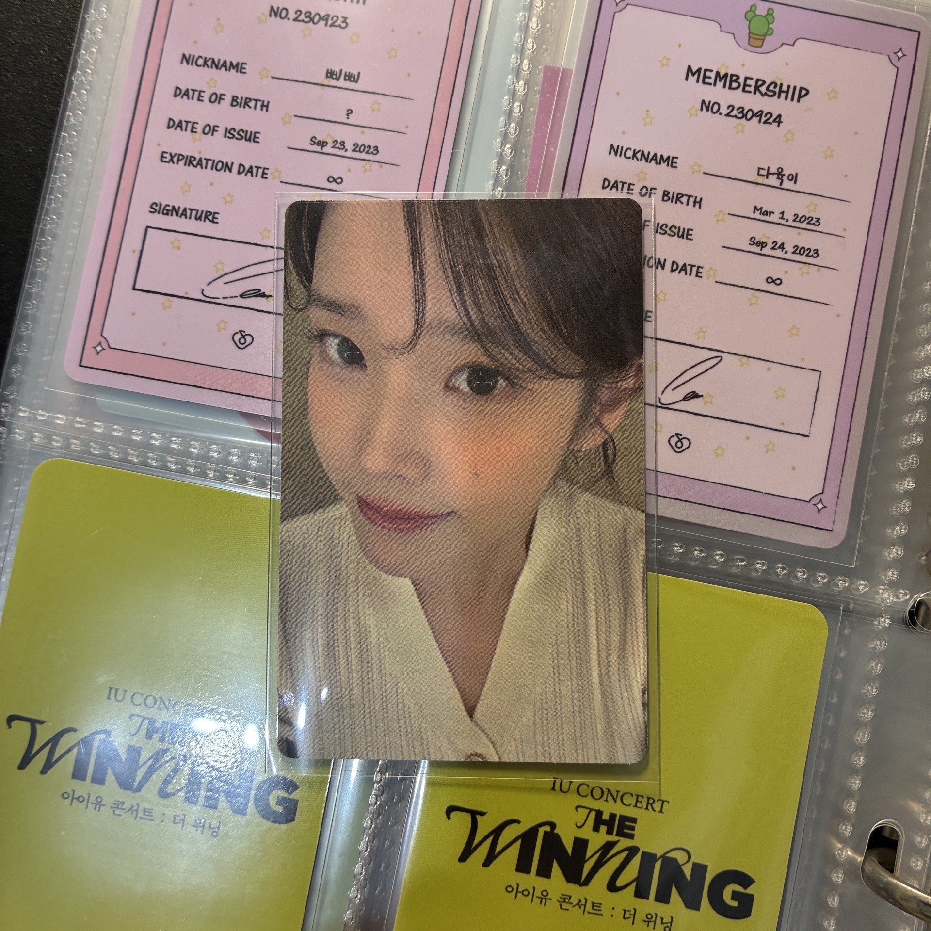 IU 李知恩｜IU CONCERT：THE WINNING 電影小卡