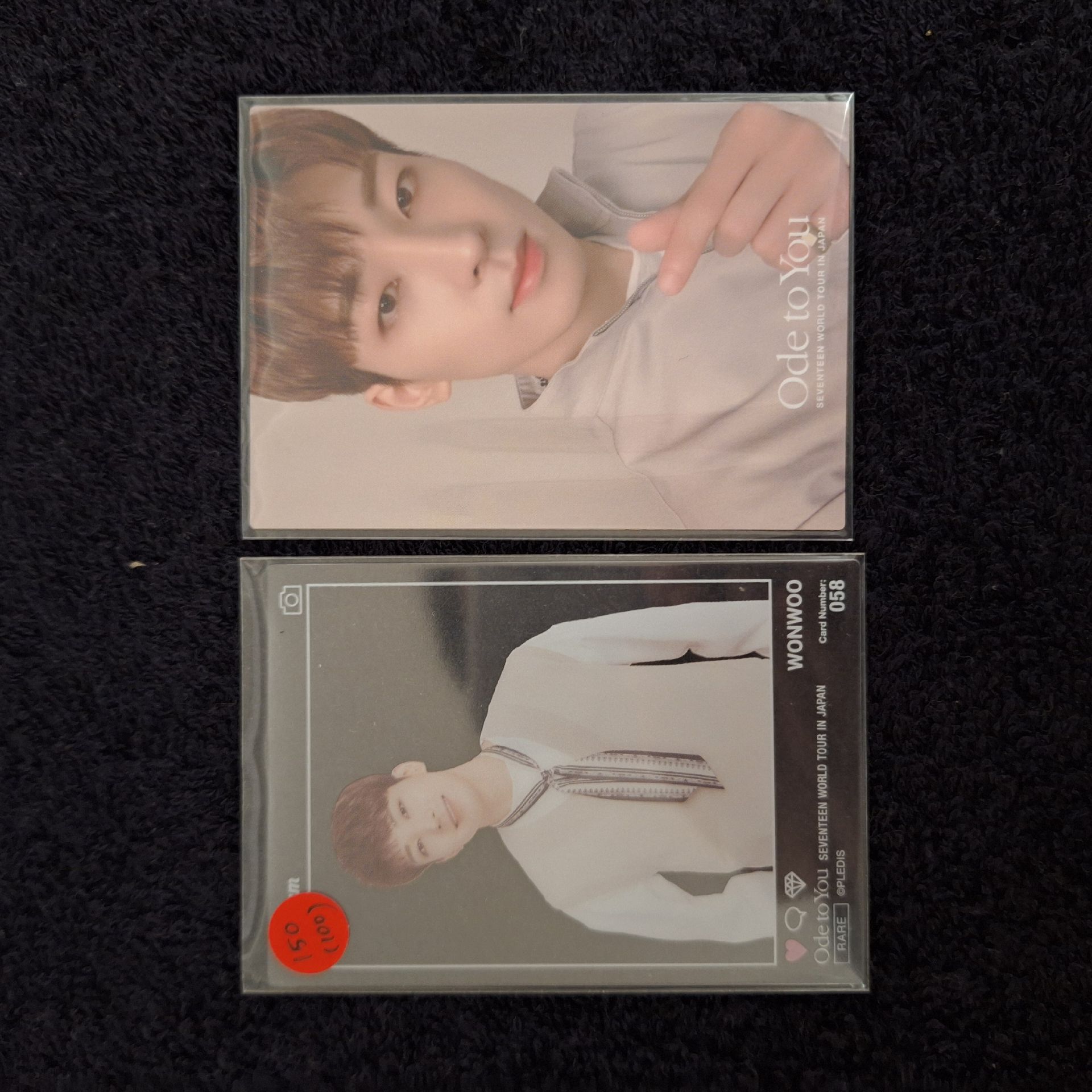 🩷 Seventeen OTY JAPAN 圓佑