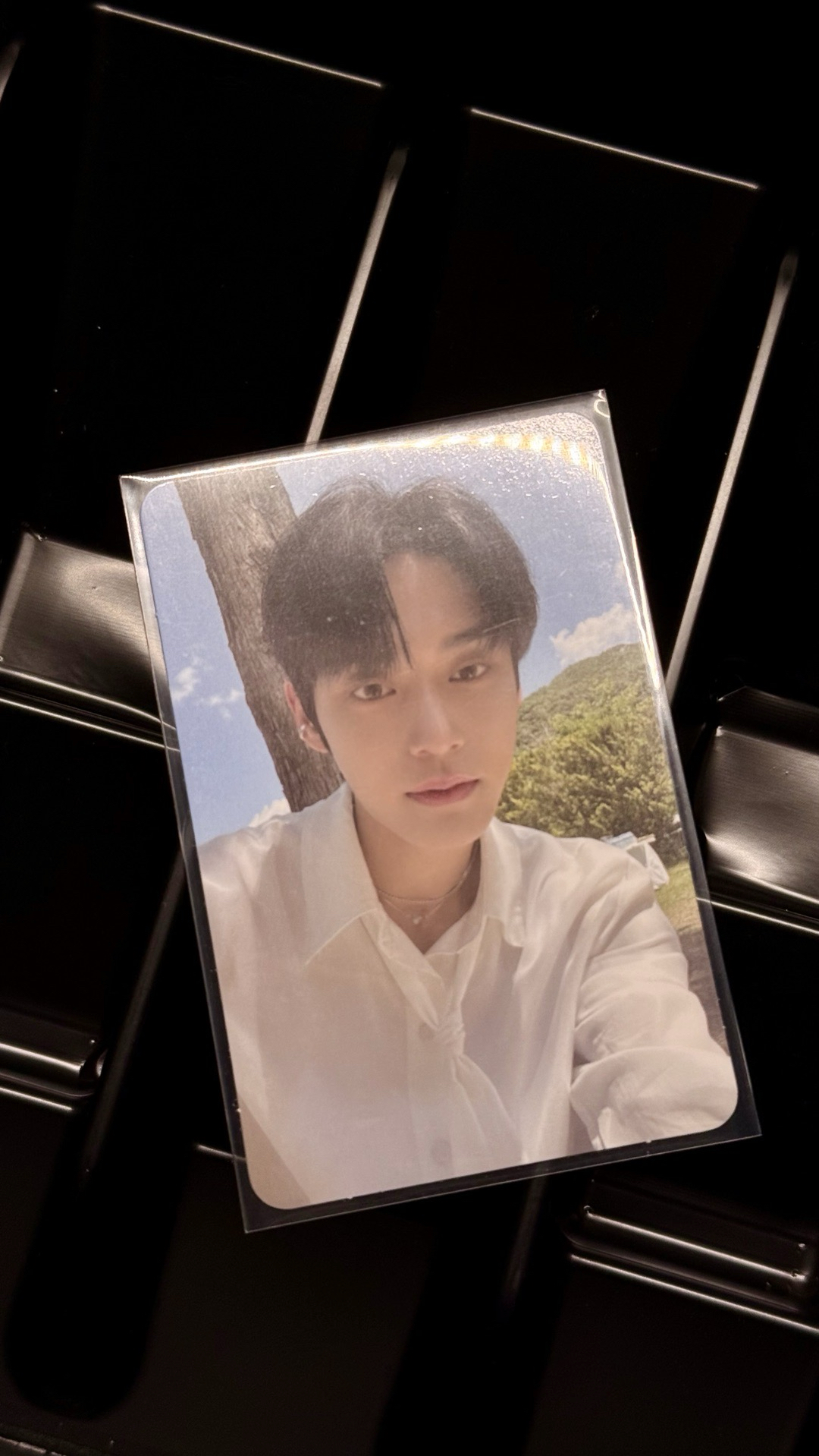 迷一專卡  SHADE ver.