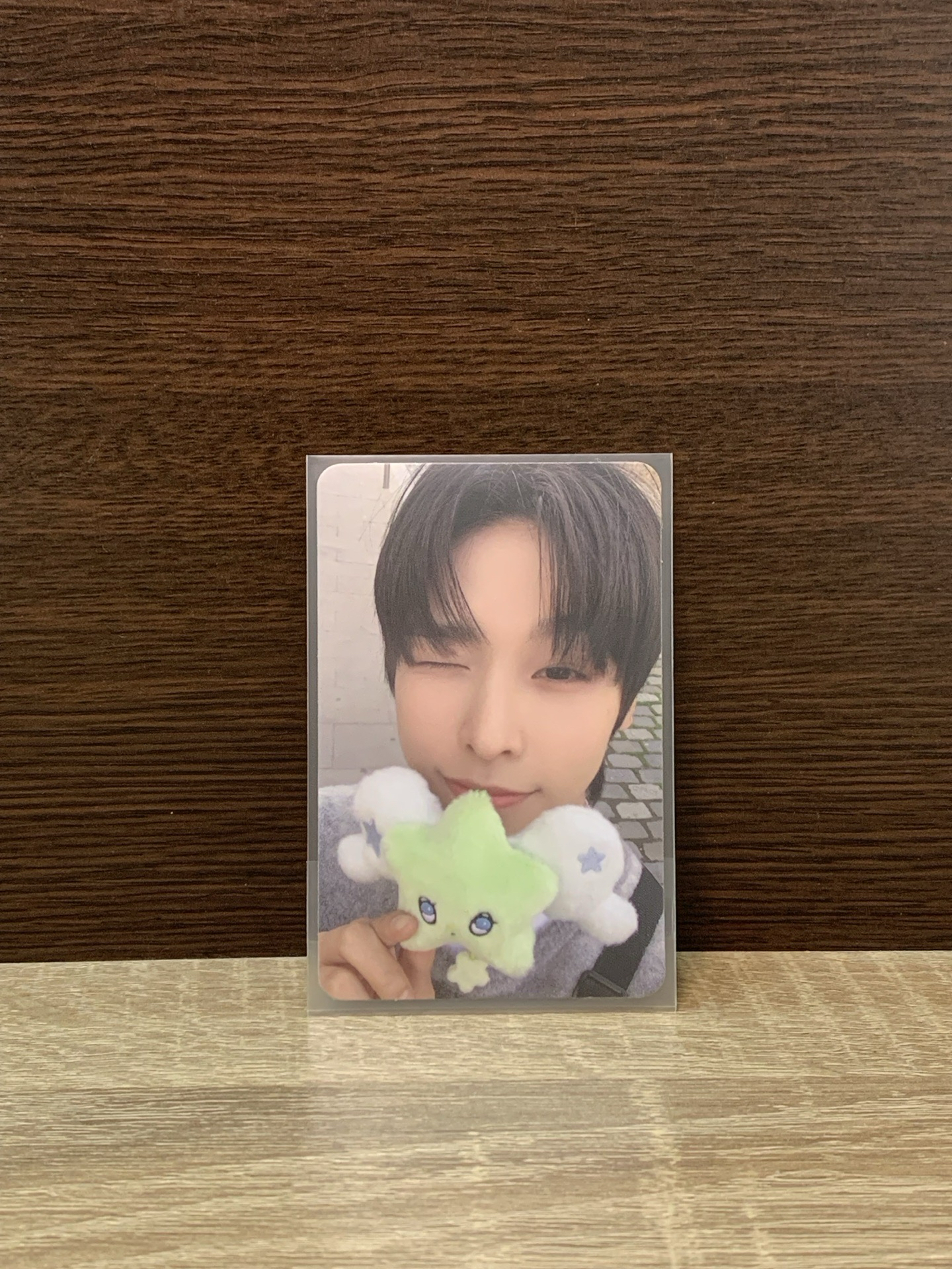 圖中有兩個萌物