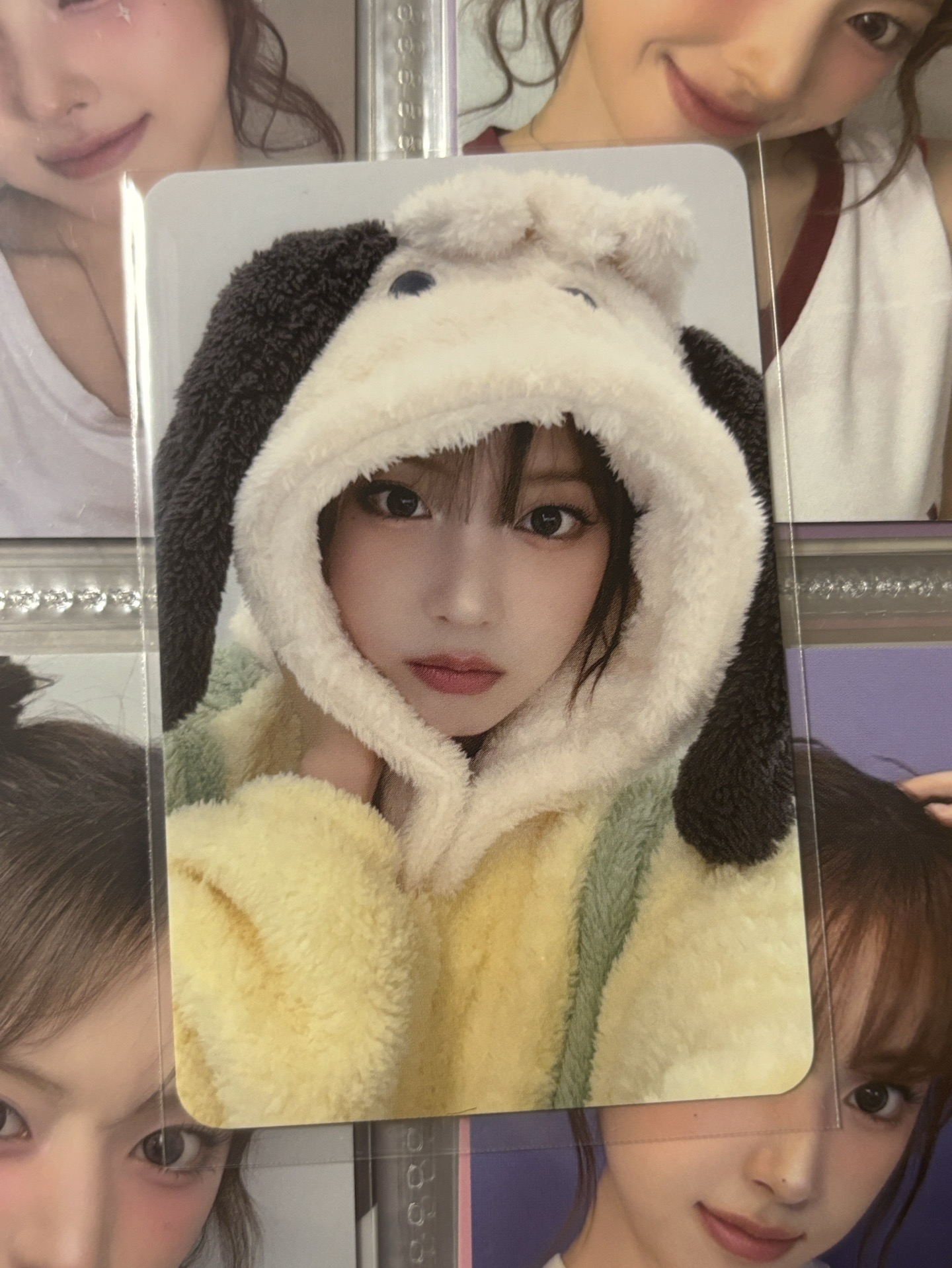 動物睡衣友（需多帶💜300+）