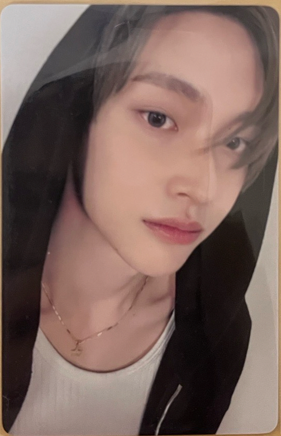 申請成為你的小貓><（中文卡背）