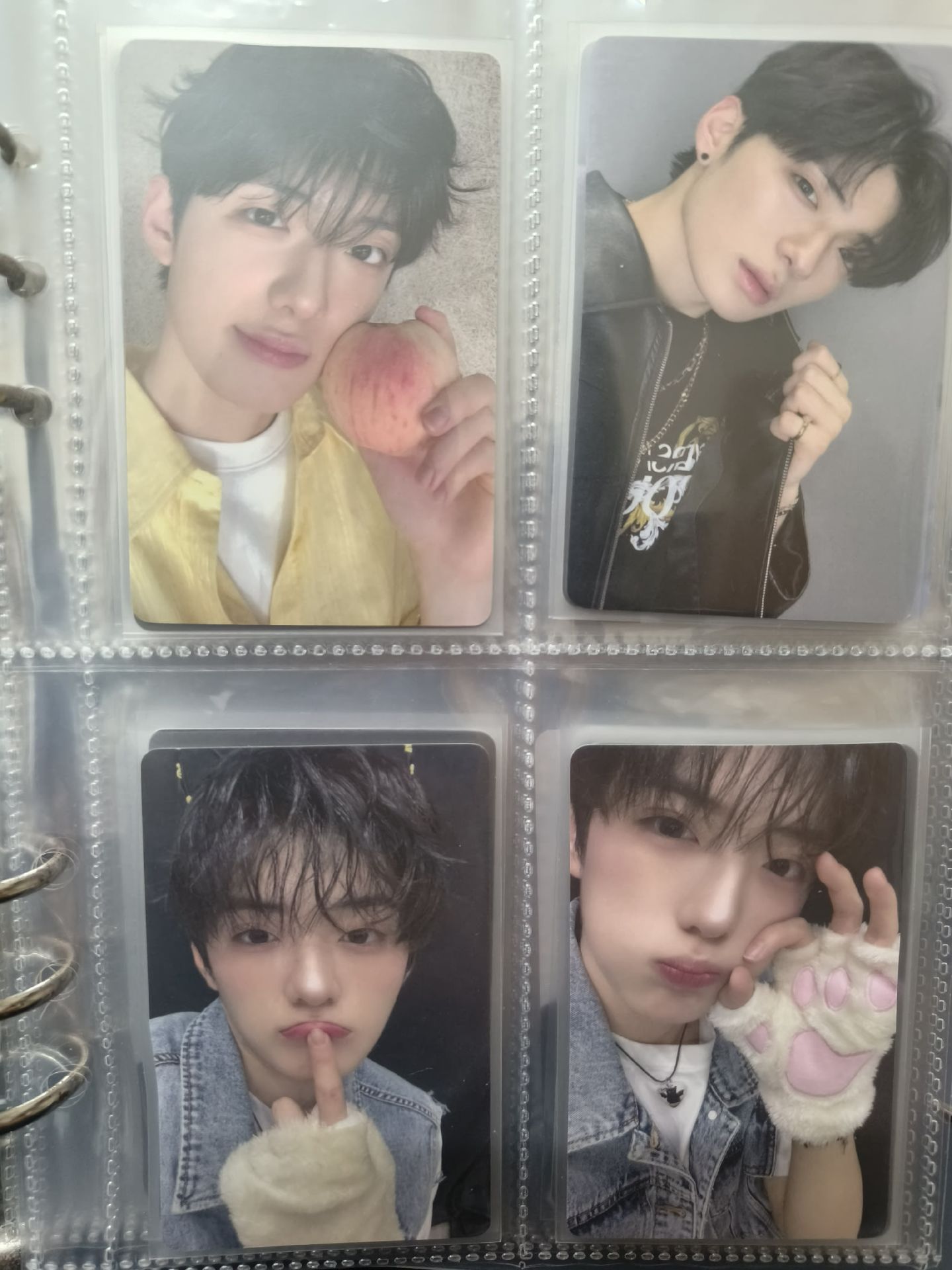 鄭相炫盤 少部分團體