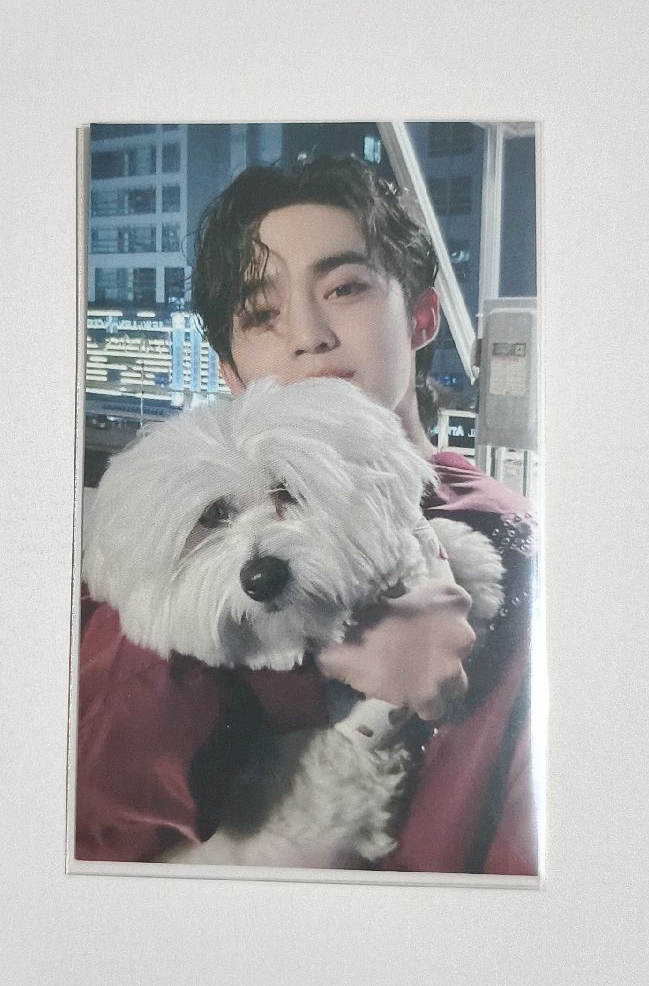 迷十一環球 紅薯哲