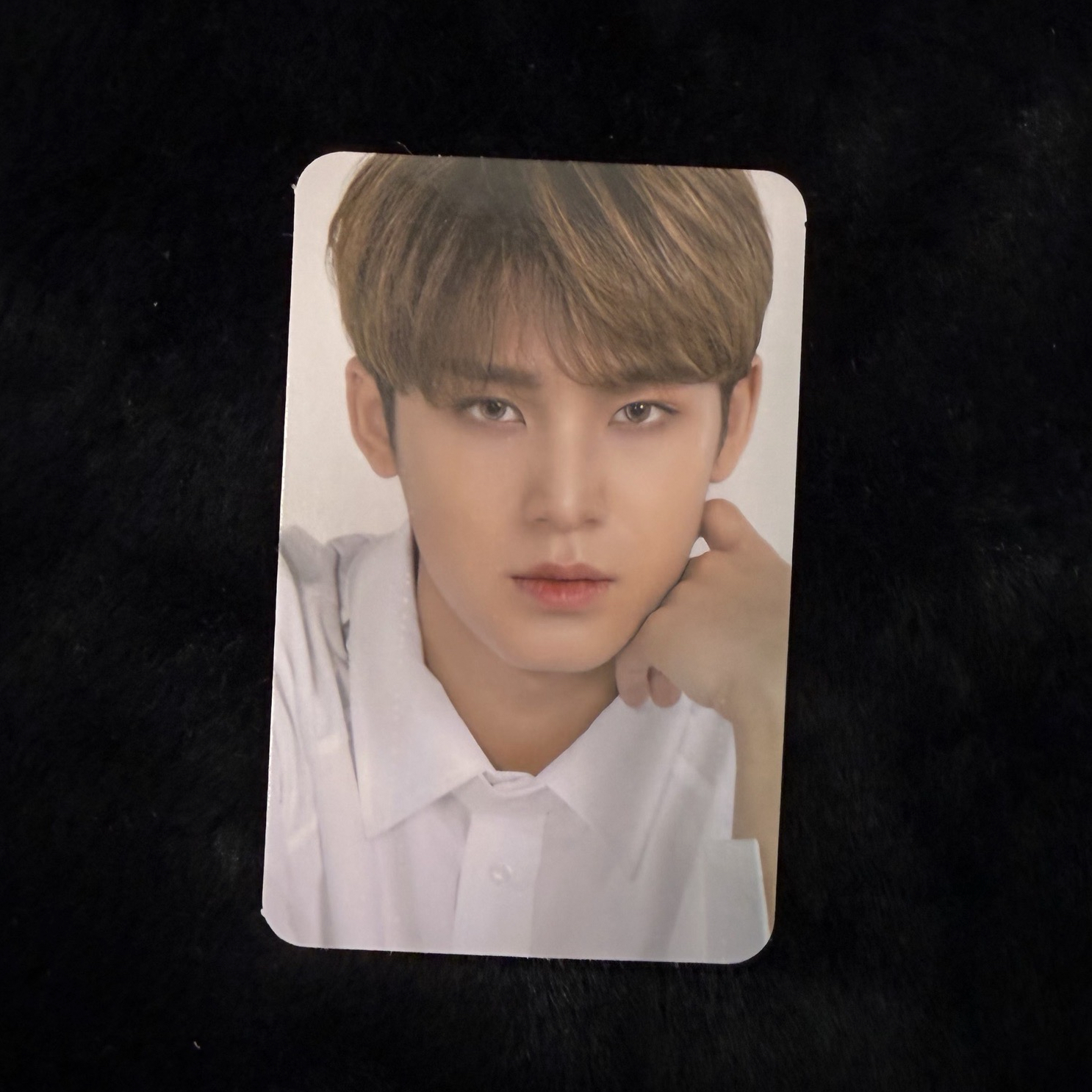 (價格已含綁) SEVENTEEN 代言卡 ao+ 美瞳卡 玟奎 MINGYU 