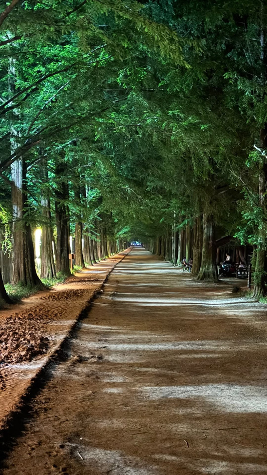 404notfoundinthesystem