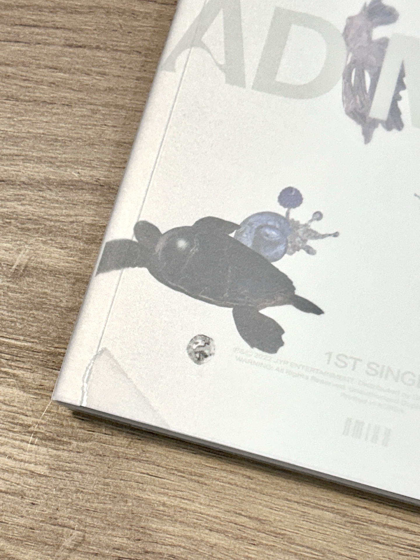 NMIXX 出道專 AD MARE 空專