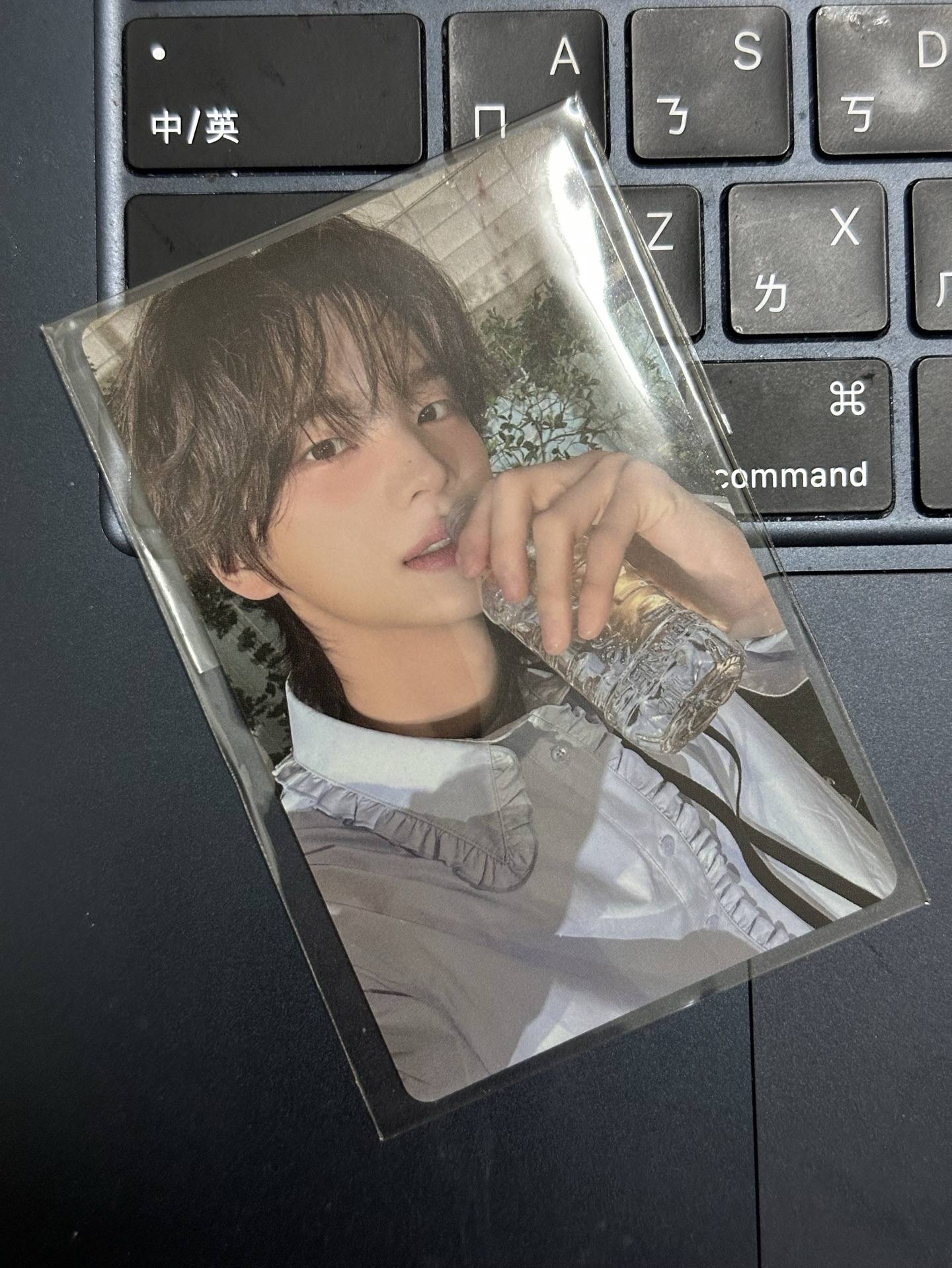 情人節申惟 現貨