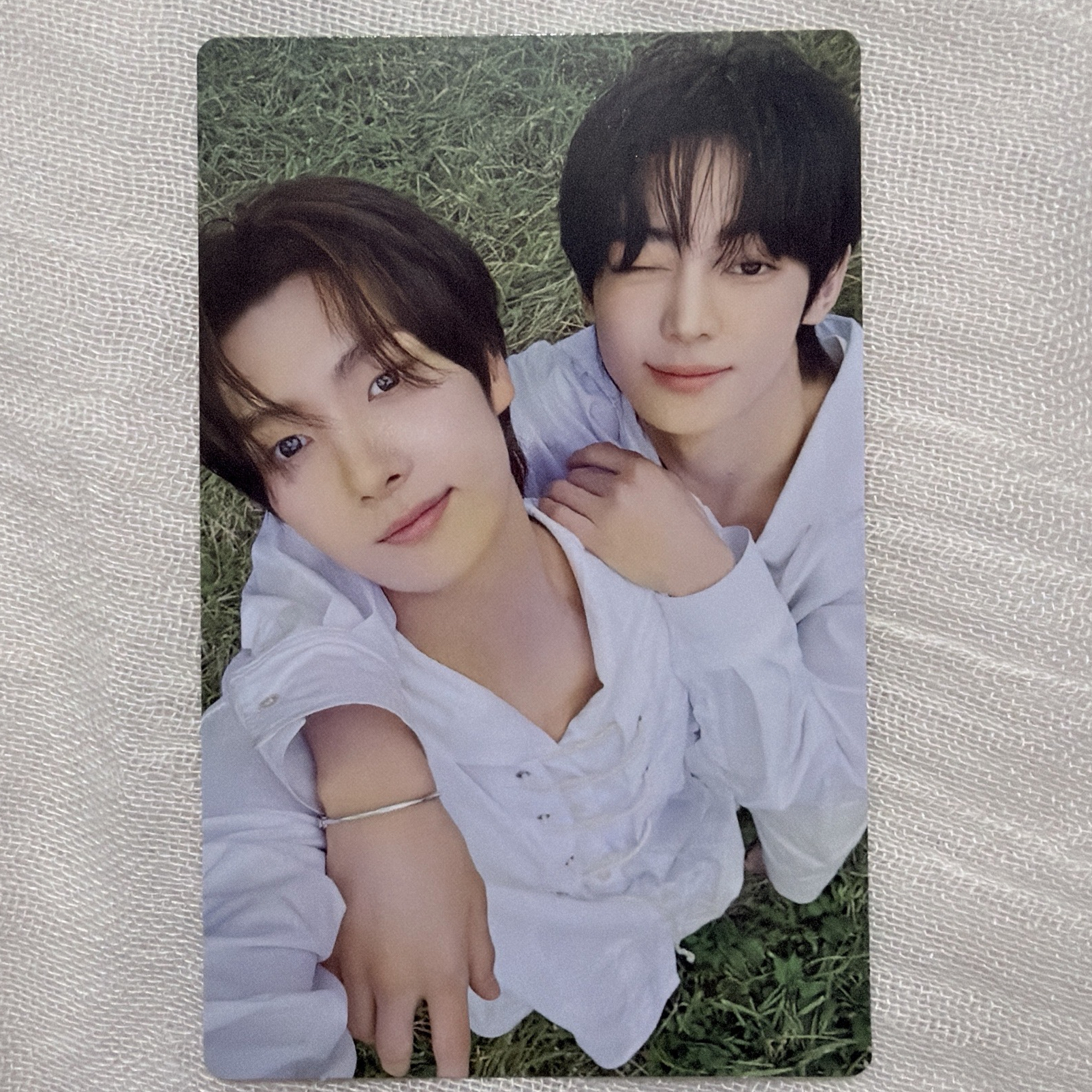 韓振英宰(環球盤）