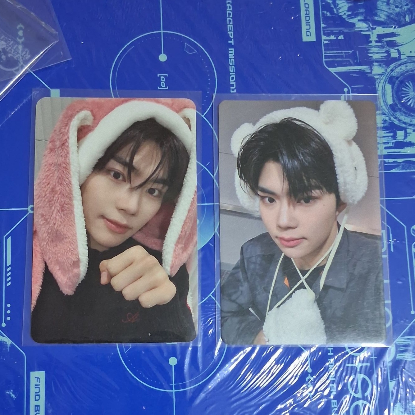 兔毯＆北極熊旭