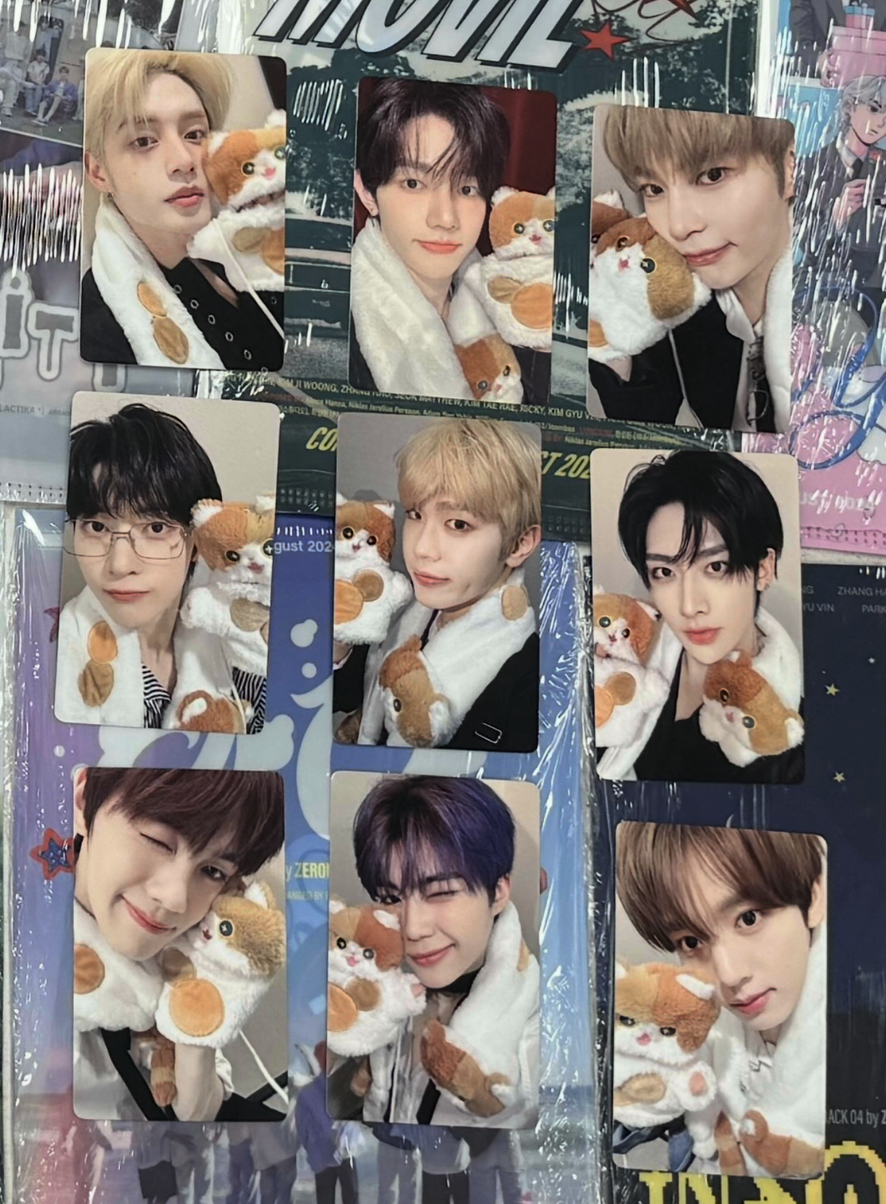 ZB1 一直娛 胖貓 中文卡背