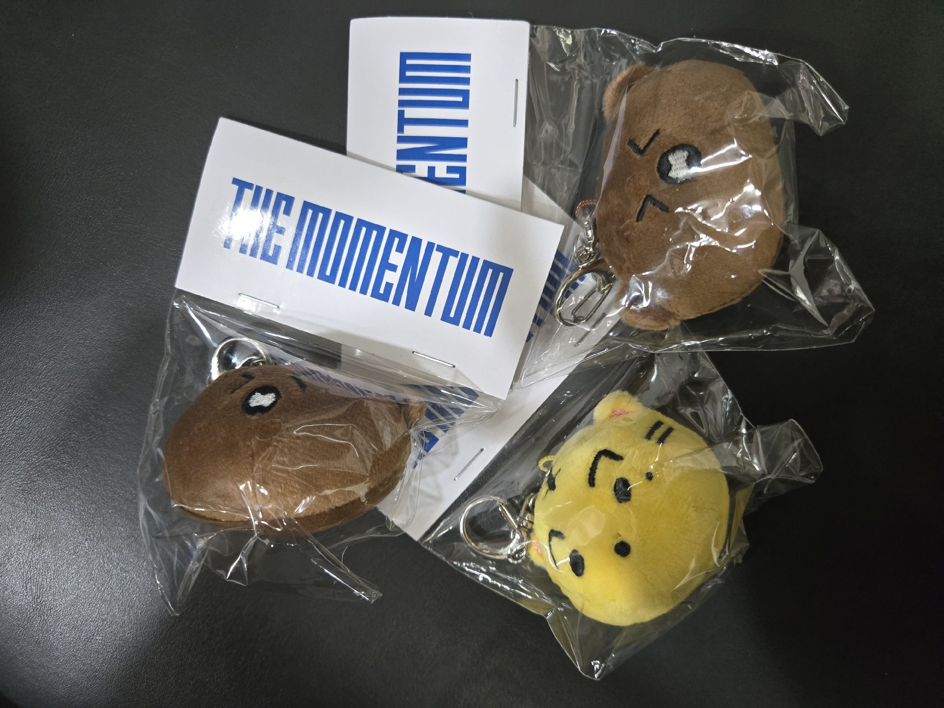 💡四巡THE MOMENTUM  日巡週邊