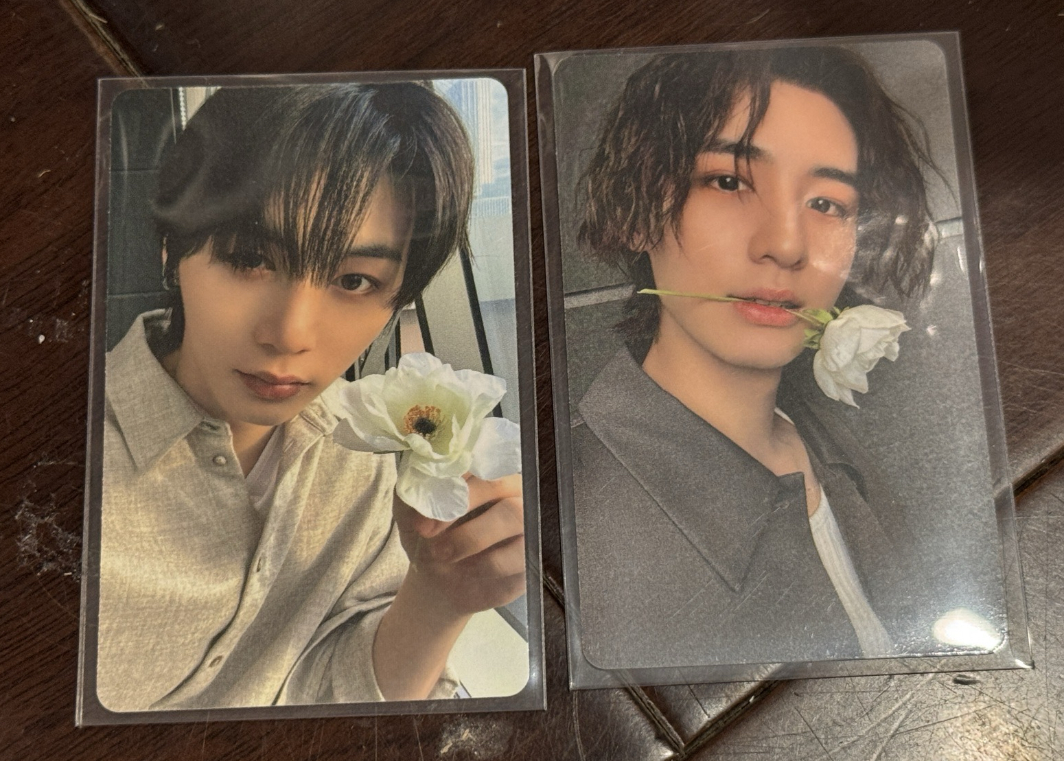 THE ACTION wvs 特典