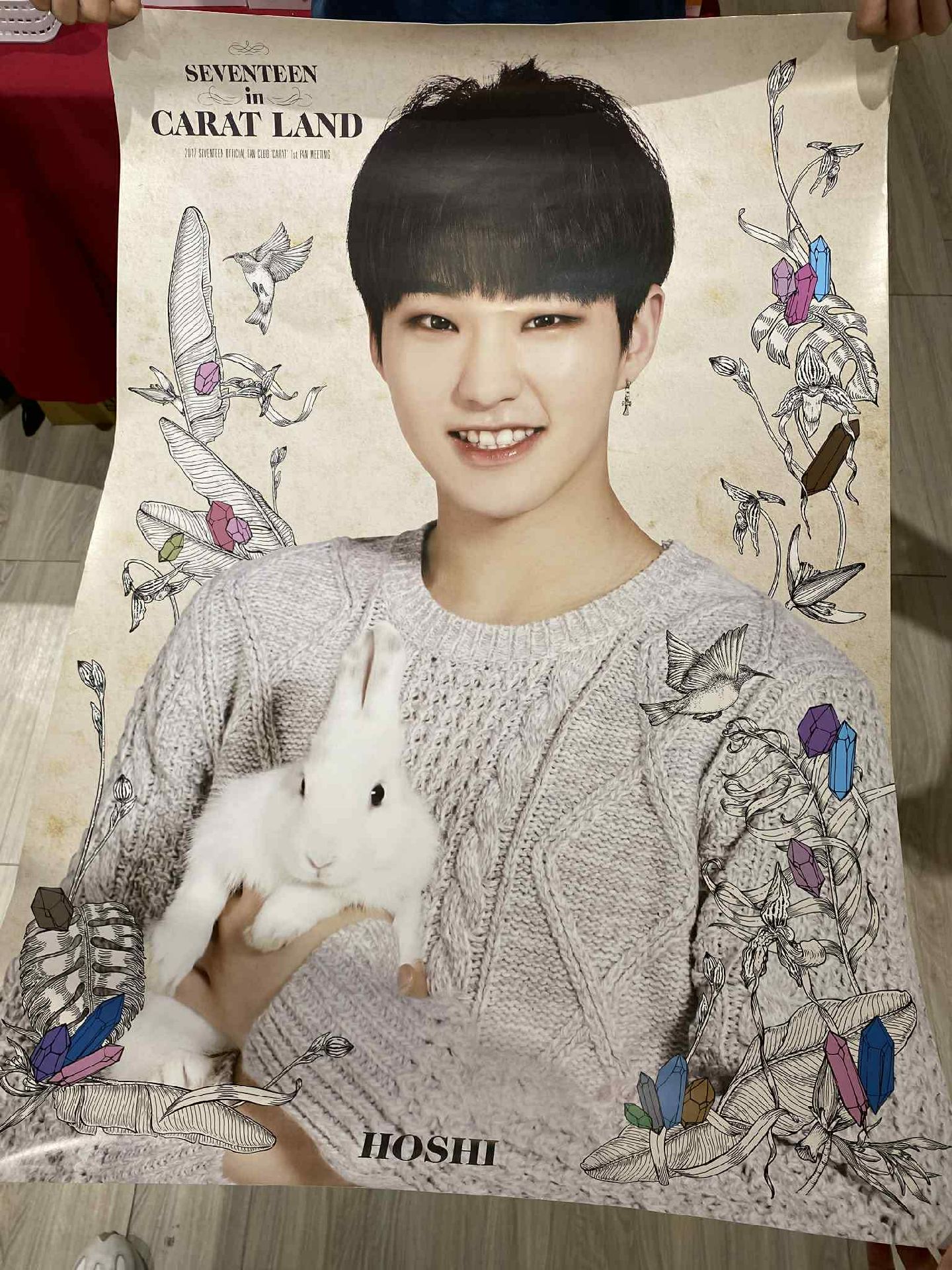 有暇 順榮 hoshi 2017 caratland 海報