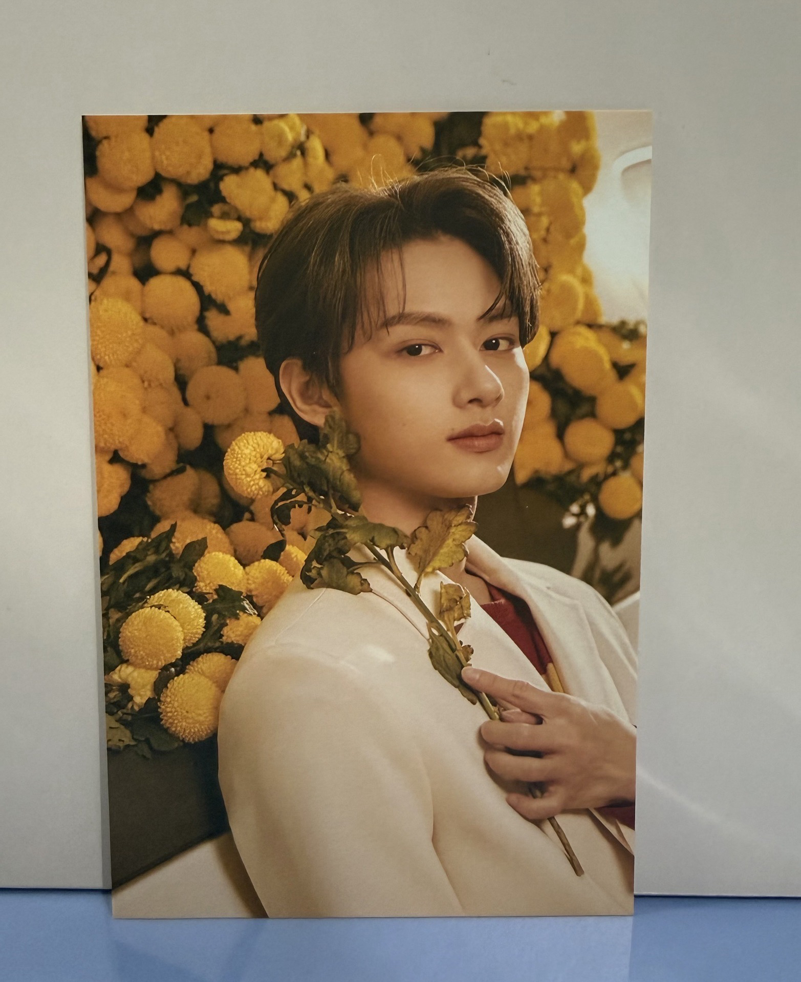 MINI8:Your Choice 明信片 俊