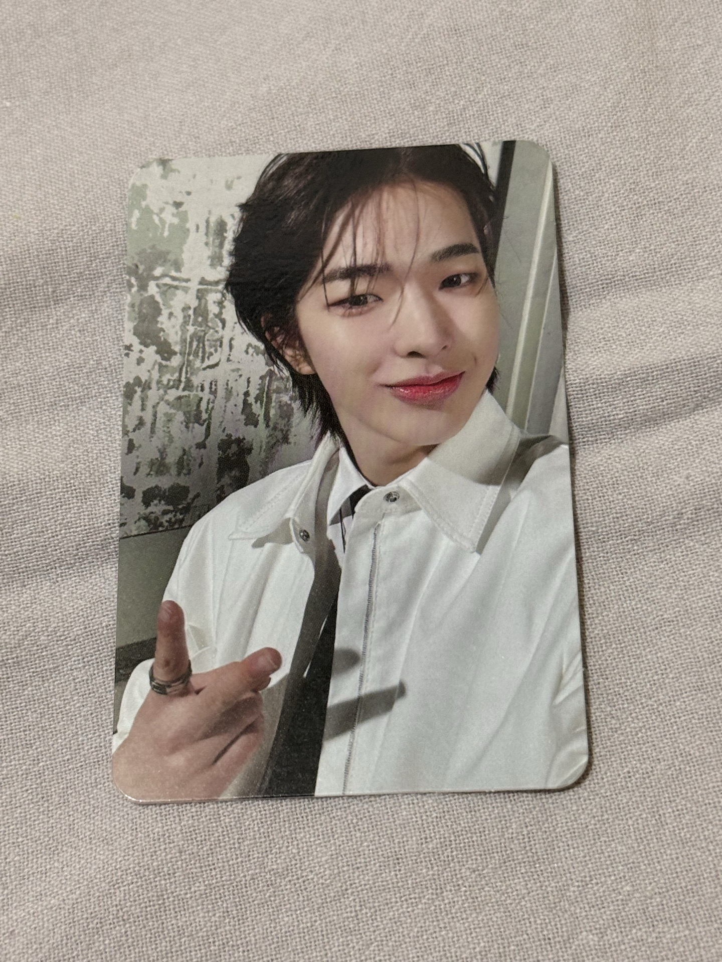 🐧出道專 普版 專卡