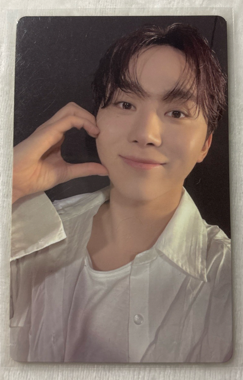 迷十二 WVS PB特典（🍊）