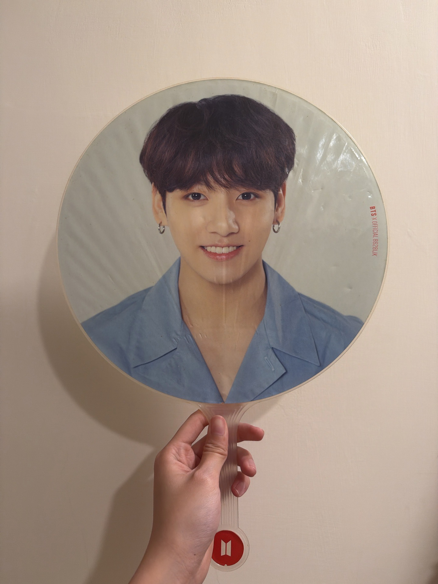 ⚠️購買前請先聊聊，請勿直接下單⚠️國LY大扇