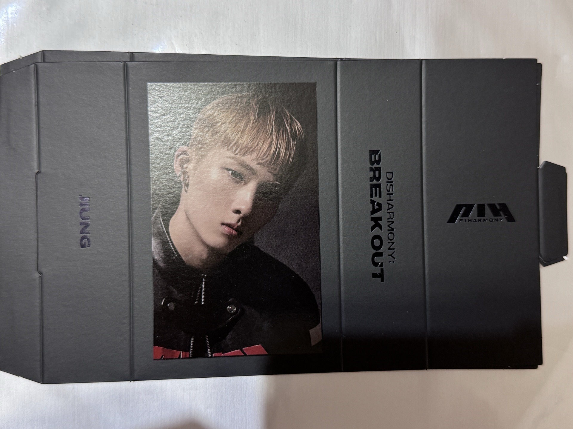 迷二立牌 黑版 JIUNG