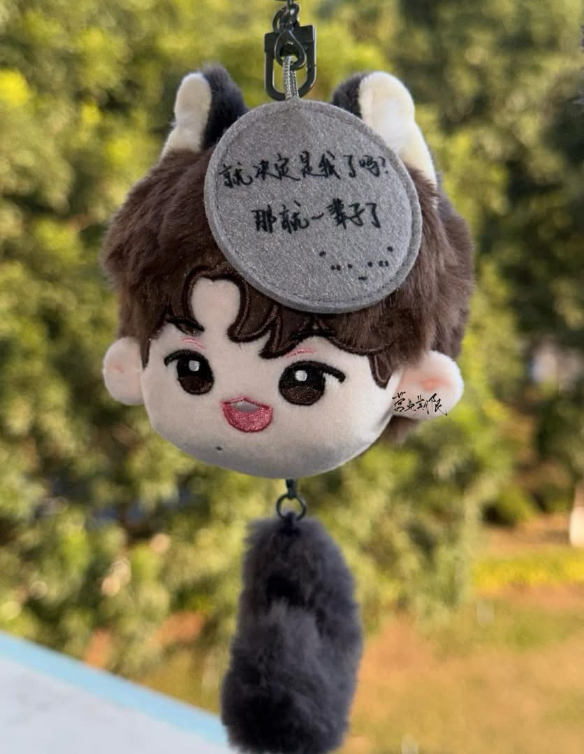 1團子現貨款無卡全套含卡冊