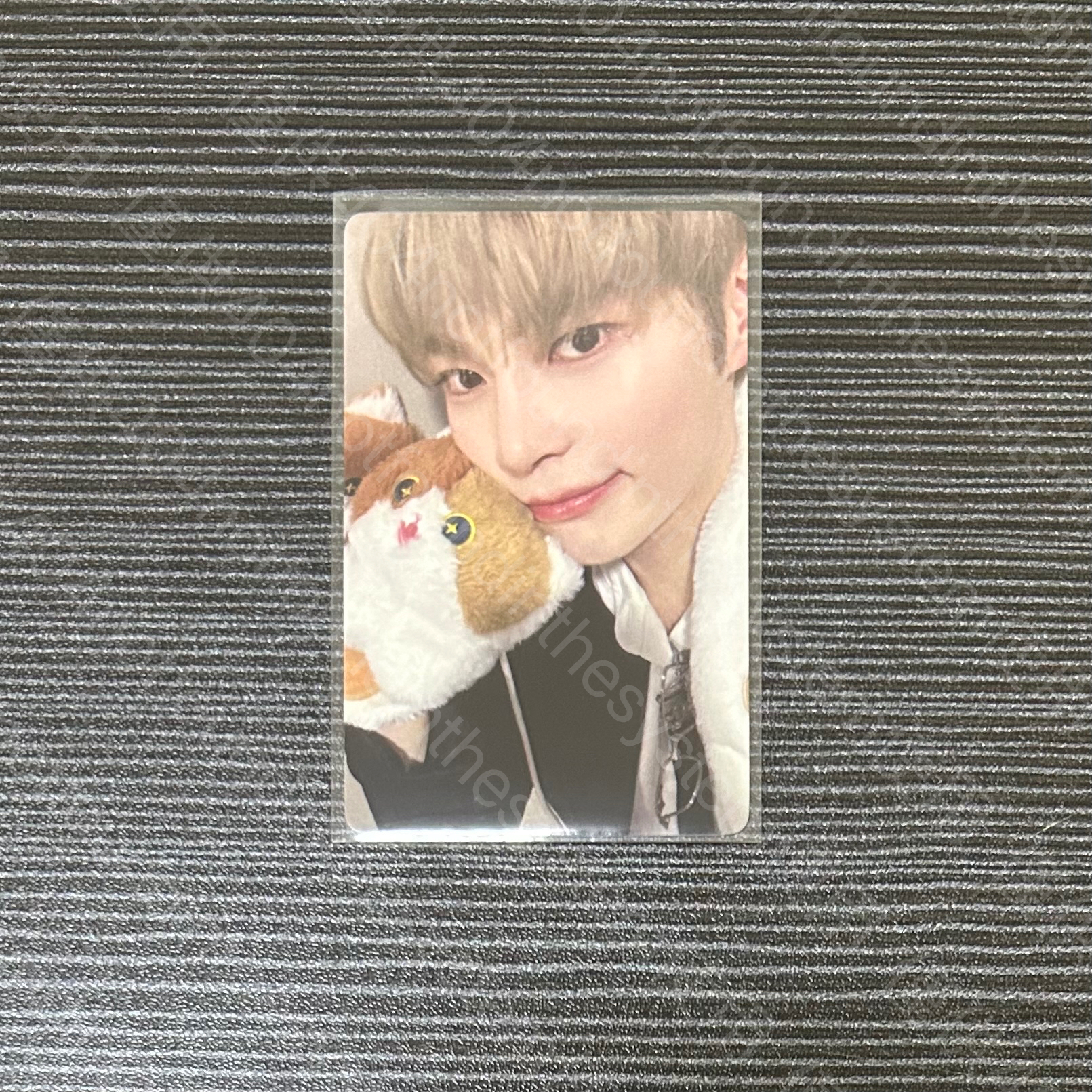 迷四 yzy 簽售卡 胖貓 ver.