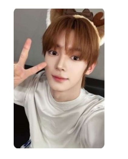 韓振小鹿造型卡 一卡一專