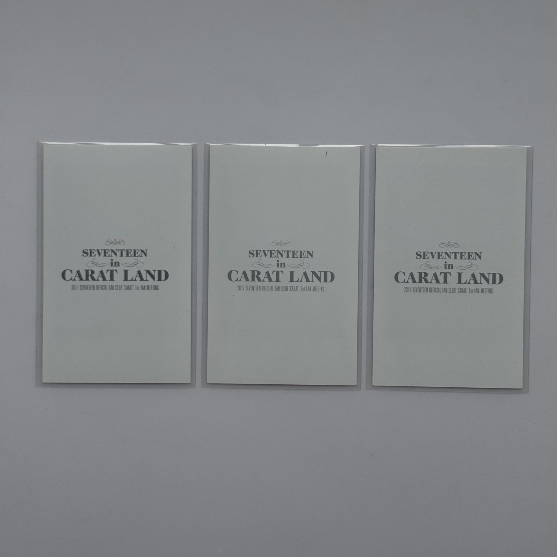 李燦早期拍立得