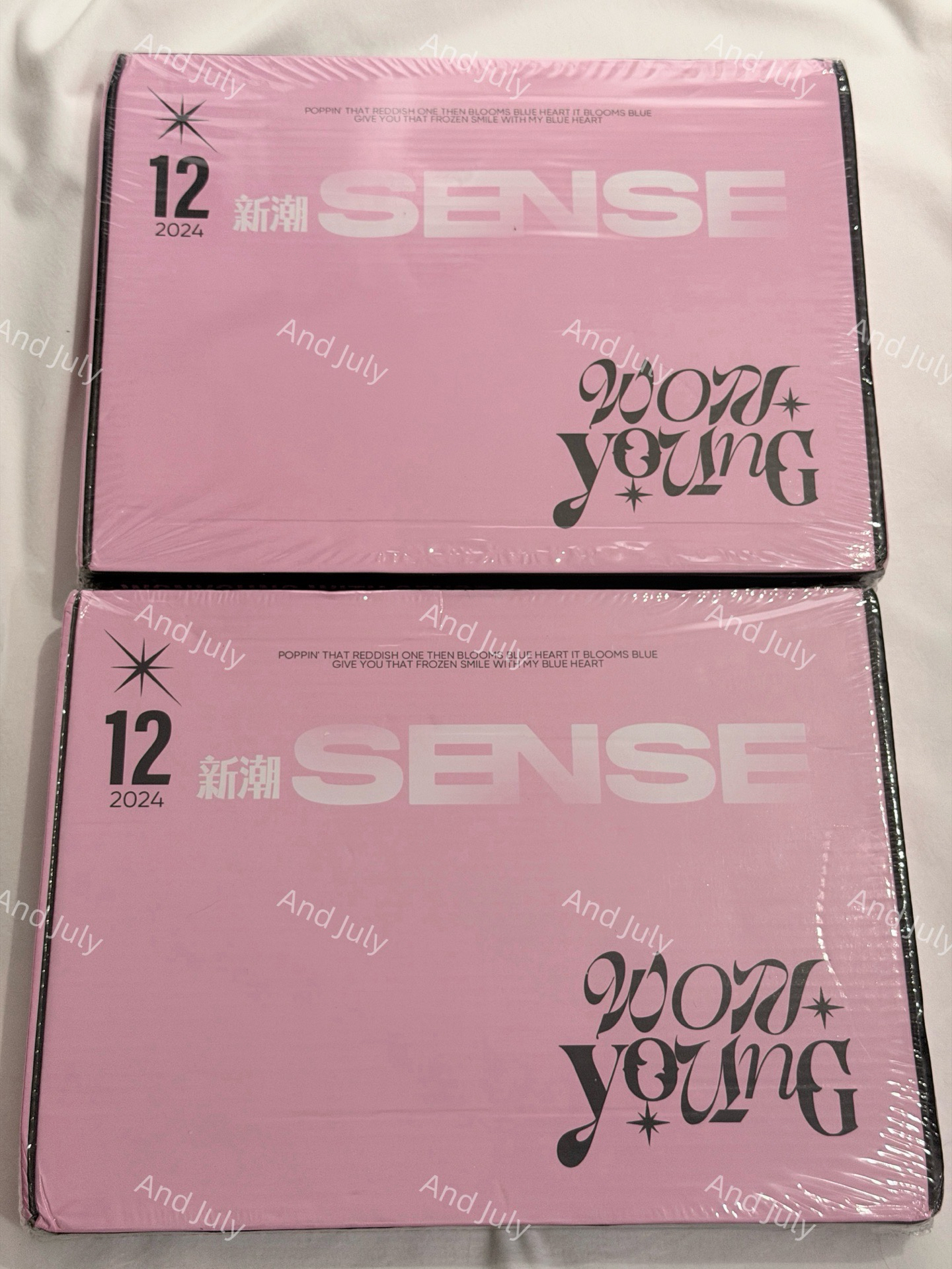 SENSE 2024 12月刊 雜誌套裝