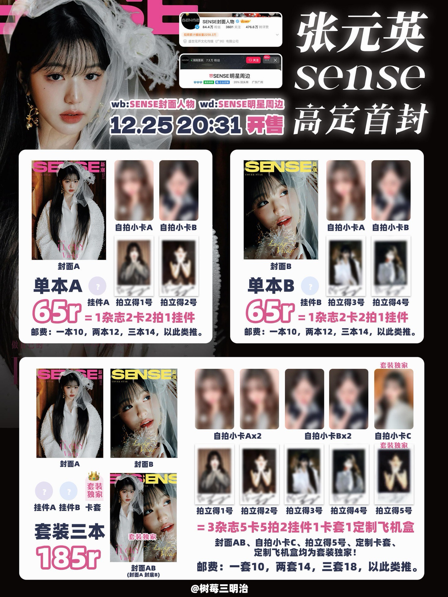 T1 S15 V6 鍵帽鑰匙圈 鑰匙圈吊飾