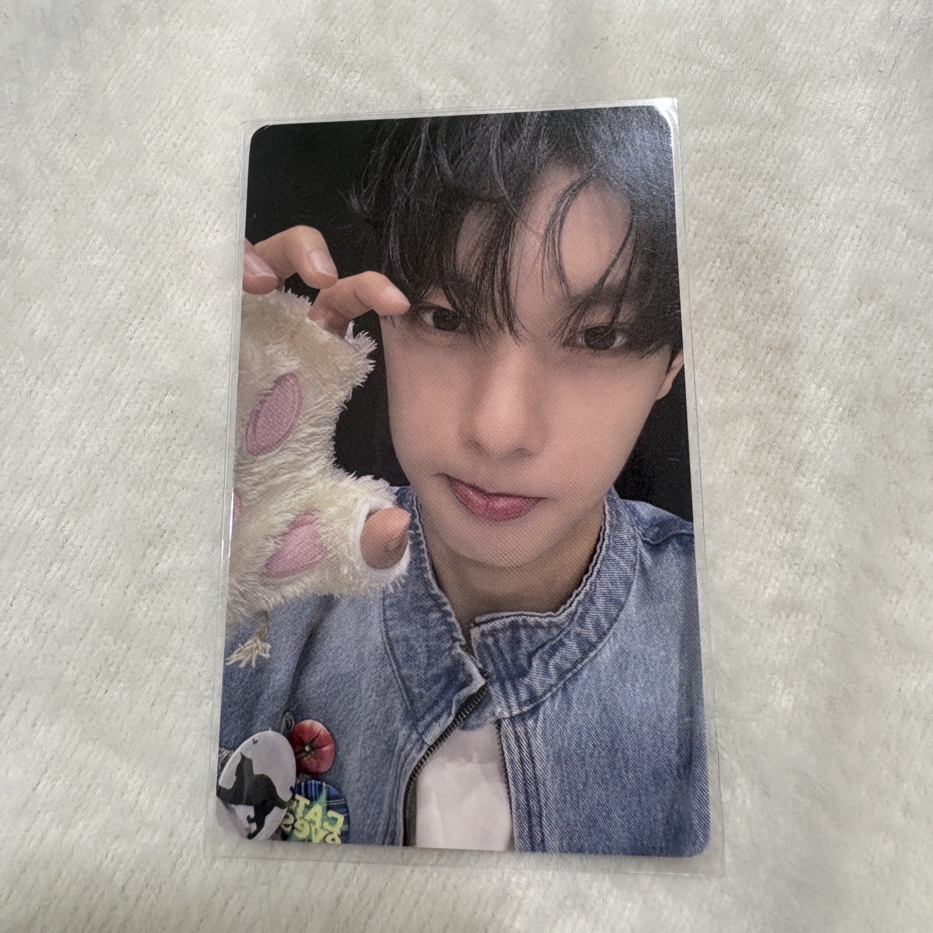 崔立于糖高貓爪