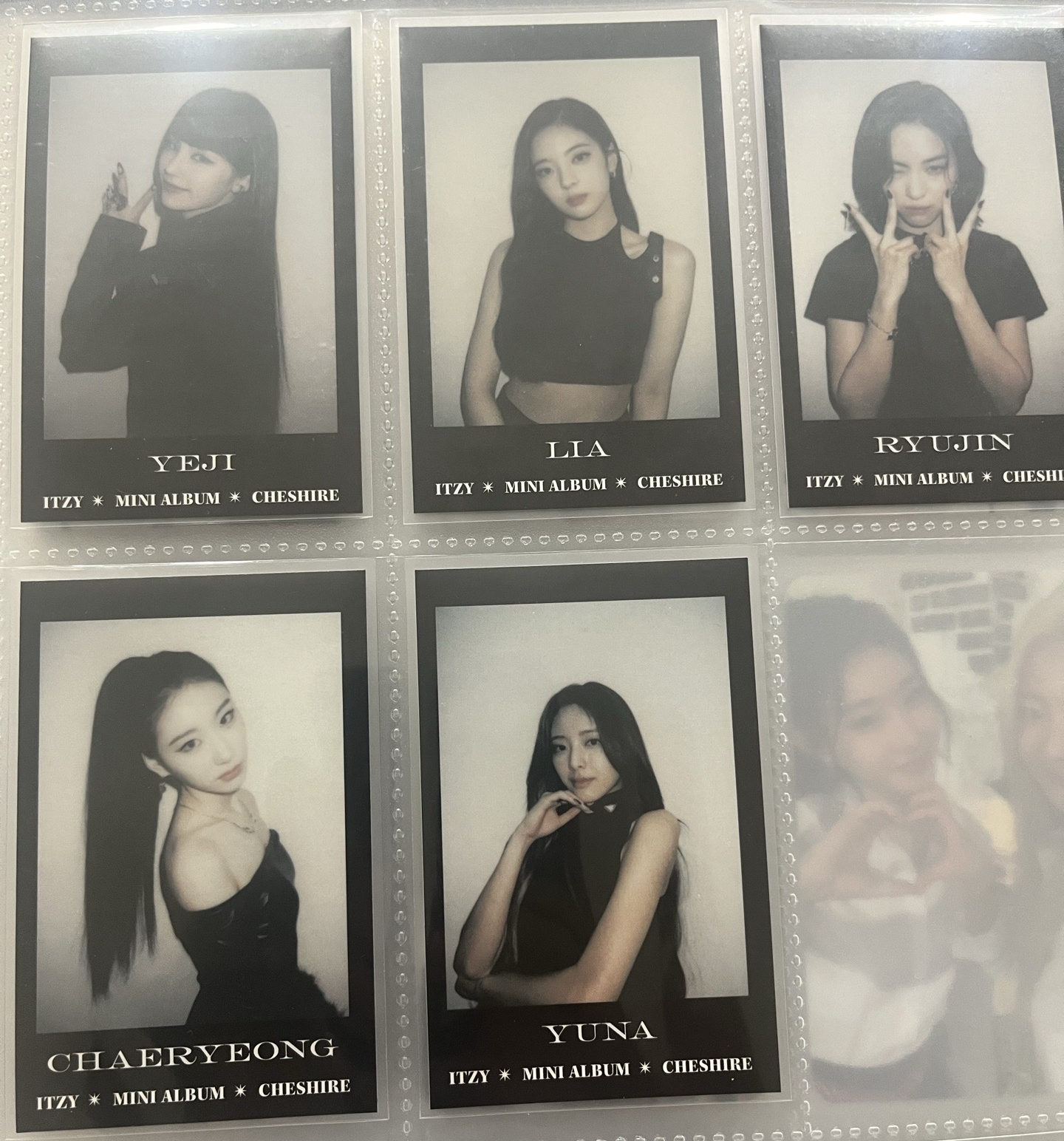 Cheshire sw預售特典一套