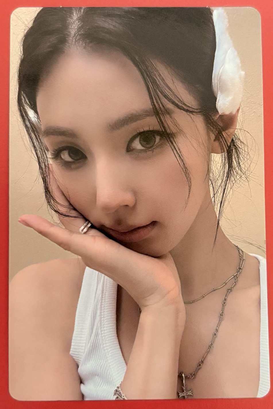 證件照+明信片，專卡，拍立得，空專