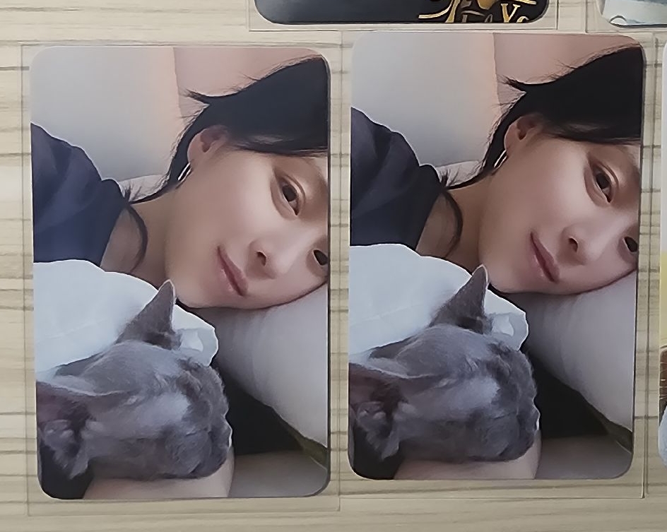 TNVS 一週打歌卡