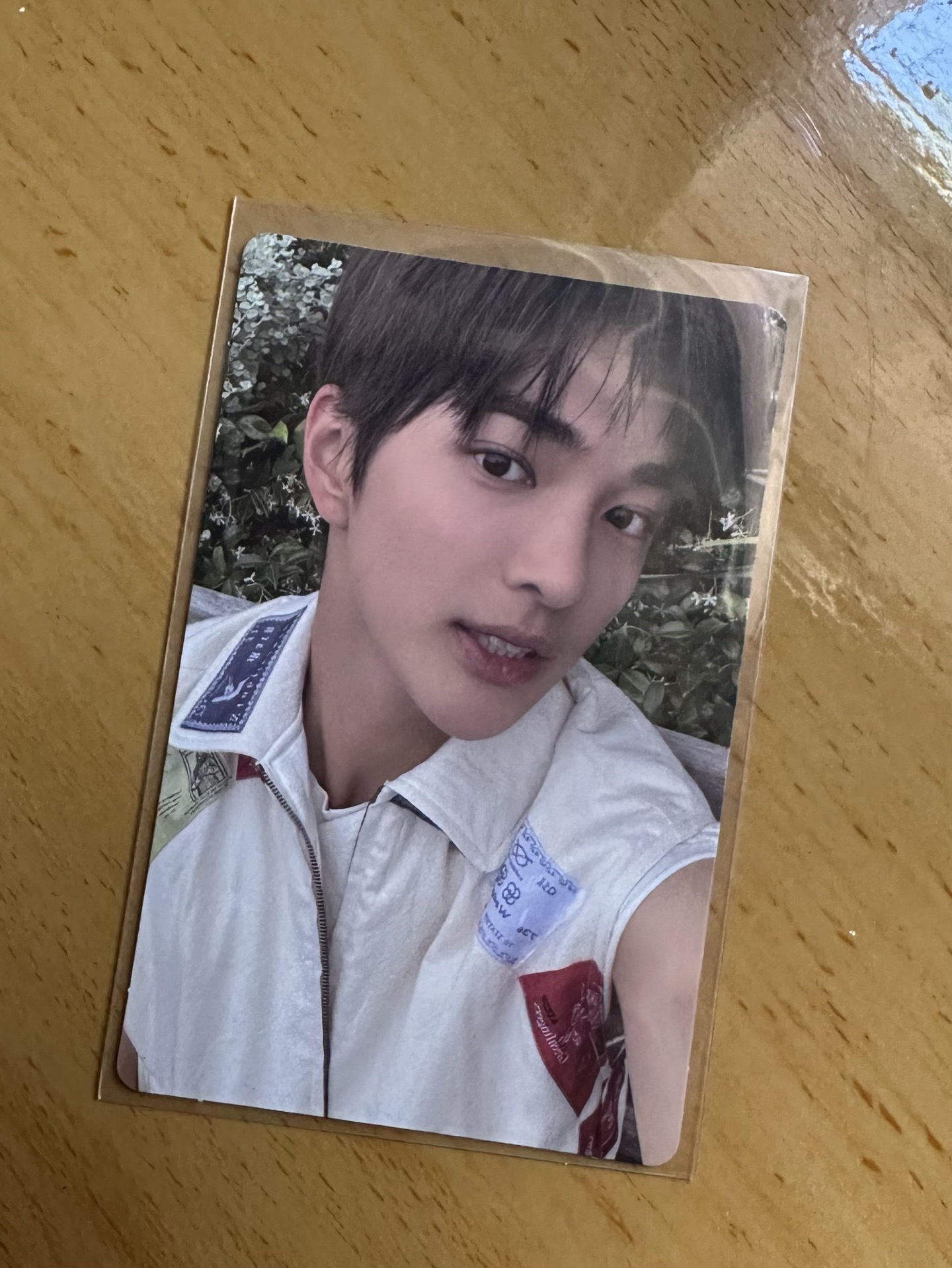 乾鎬🐶美網專卡