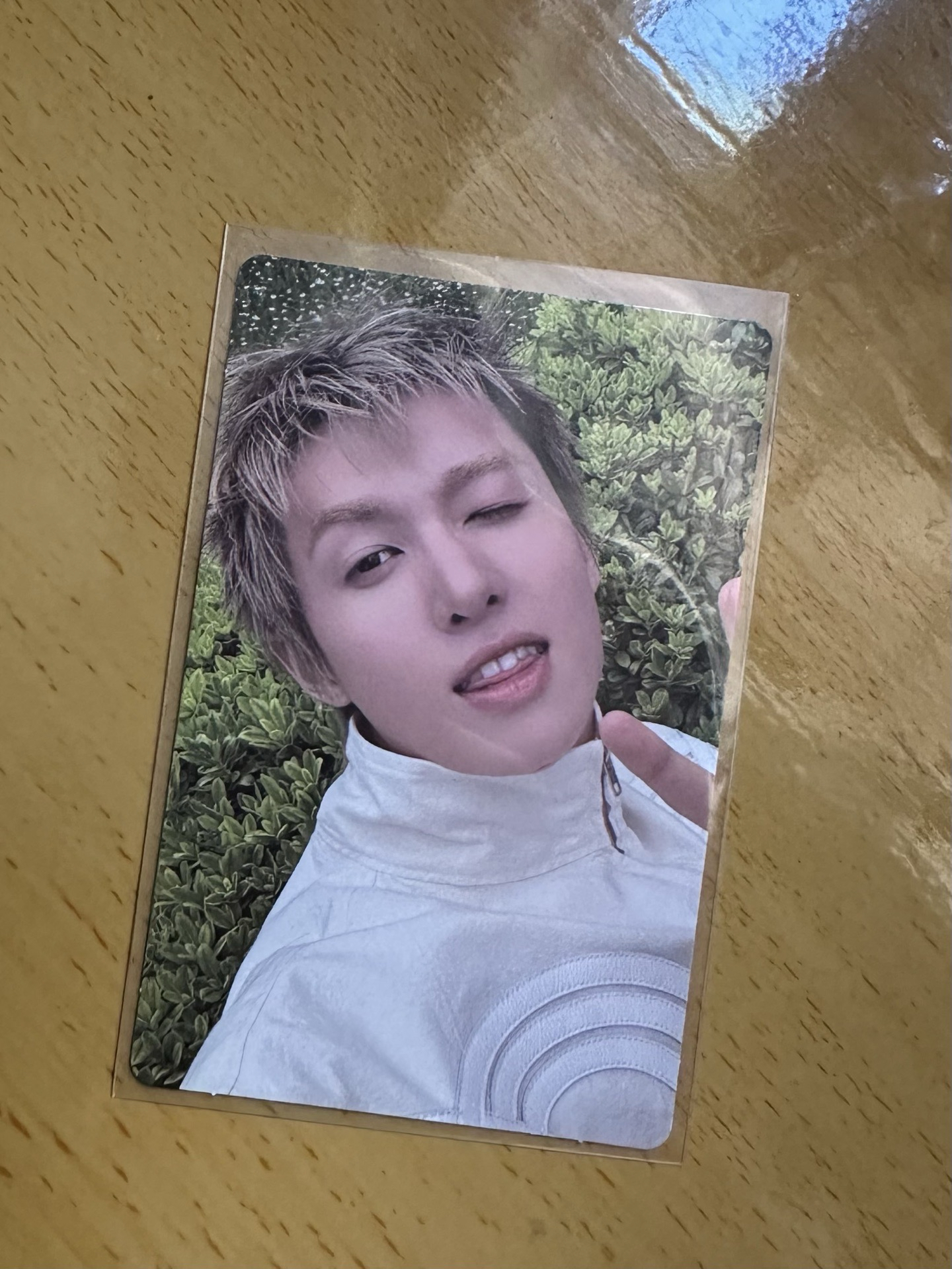 馬丁🐕‍🦺target特典卡