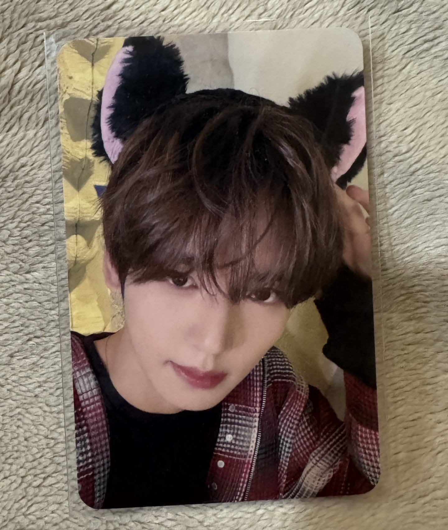 特別專 MS貓耳辰