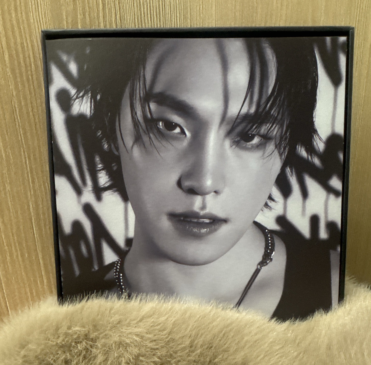 Dino 小燦 克拉盤 🦦