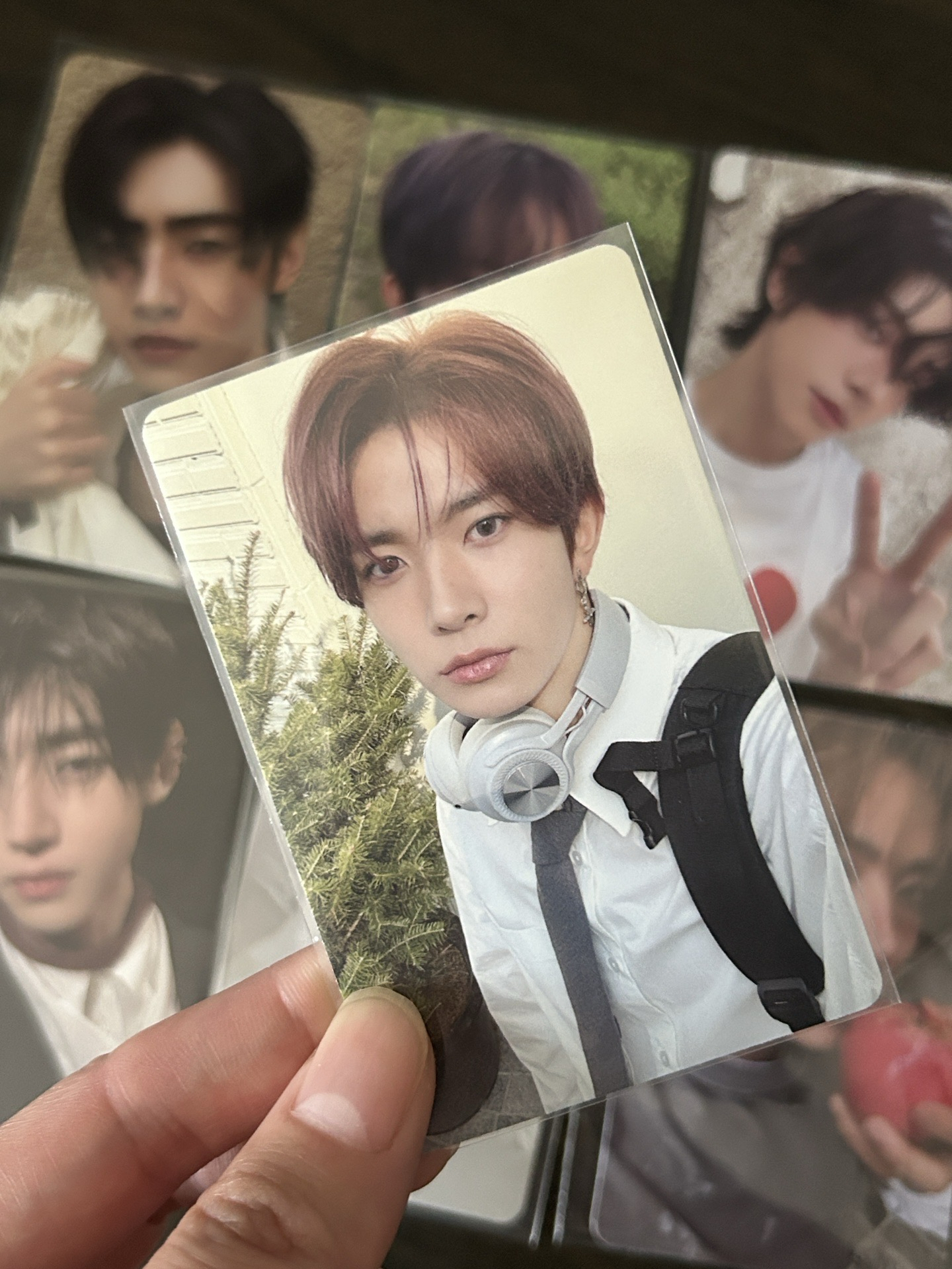 羲承 D社寫真卡