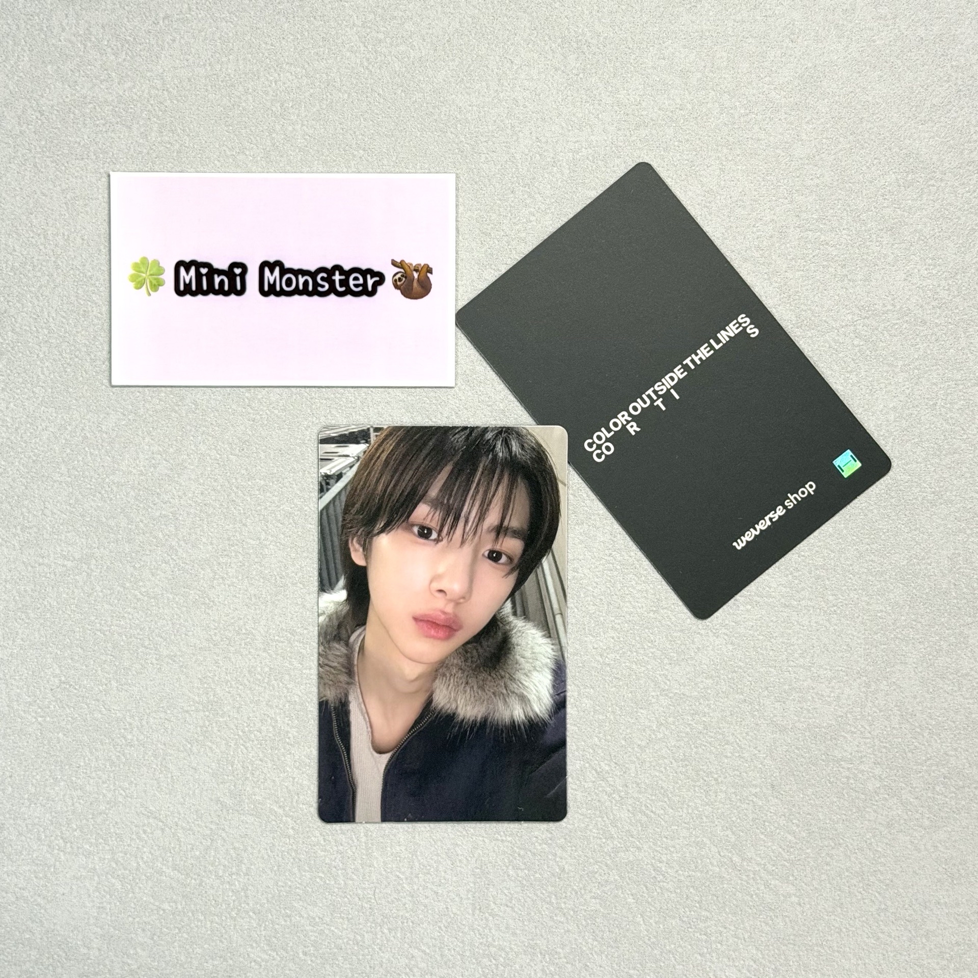 🍀Mini Monster🦥 wvs年末特典 訓