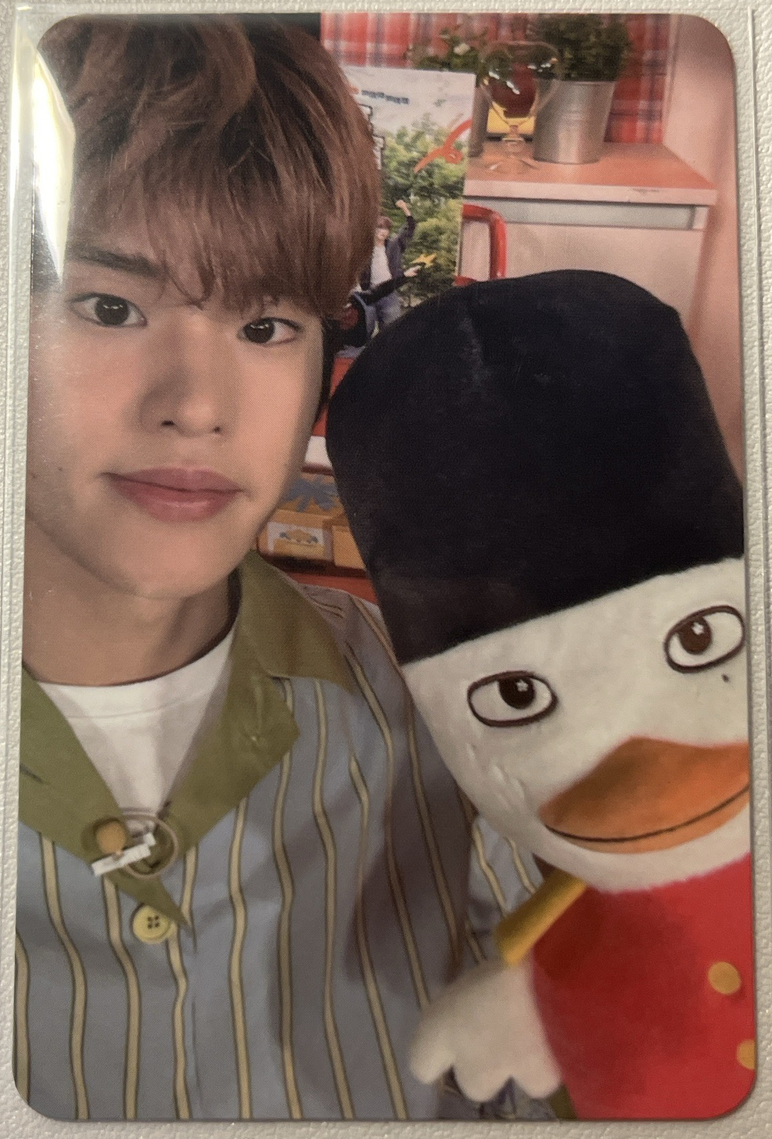 sohee RIIZING EP sm 幸運卡 