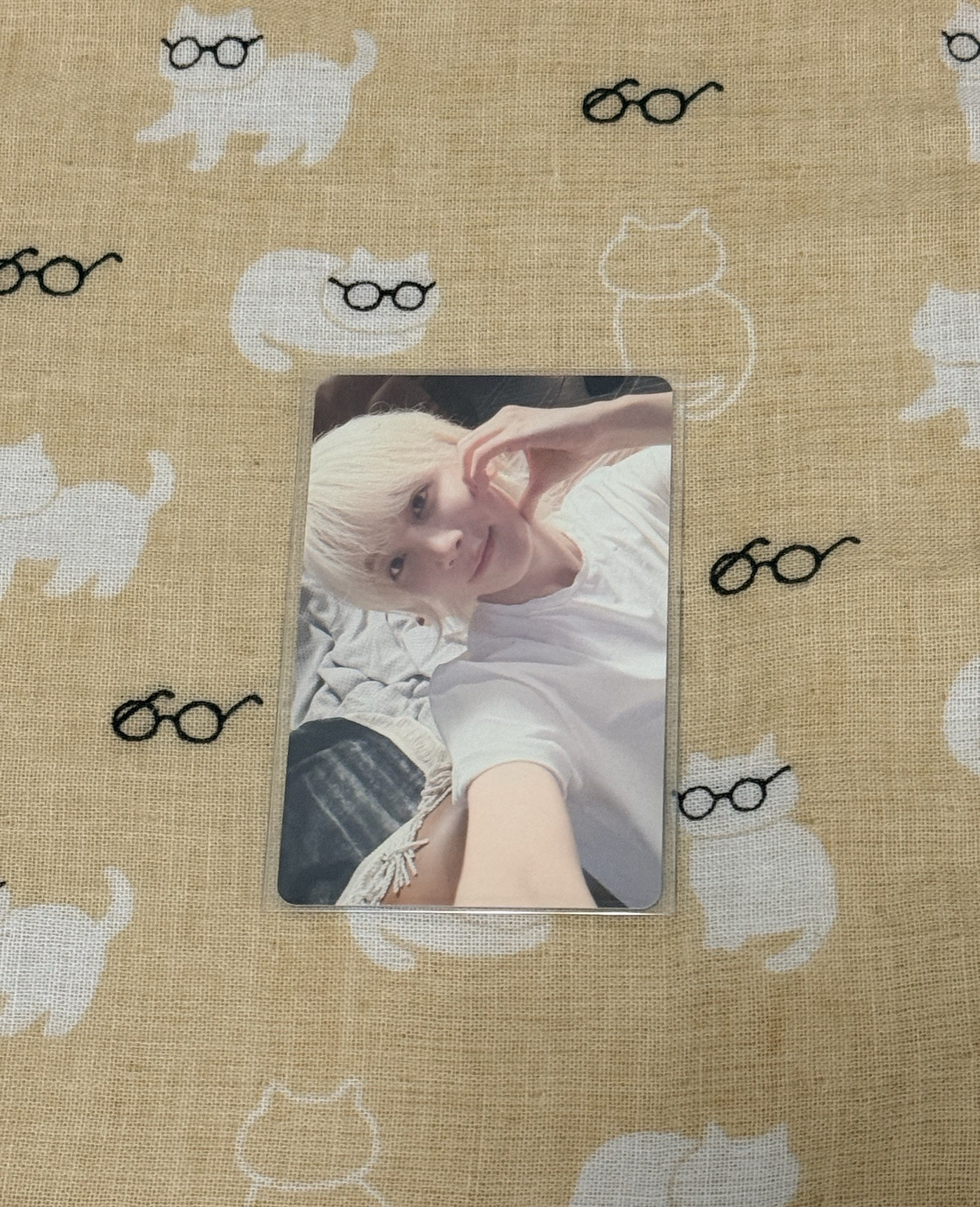 淨漢 迷12 東京 WVS場限 綁150