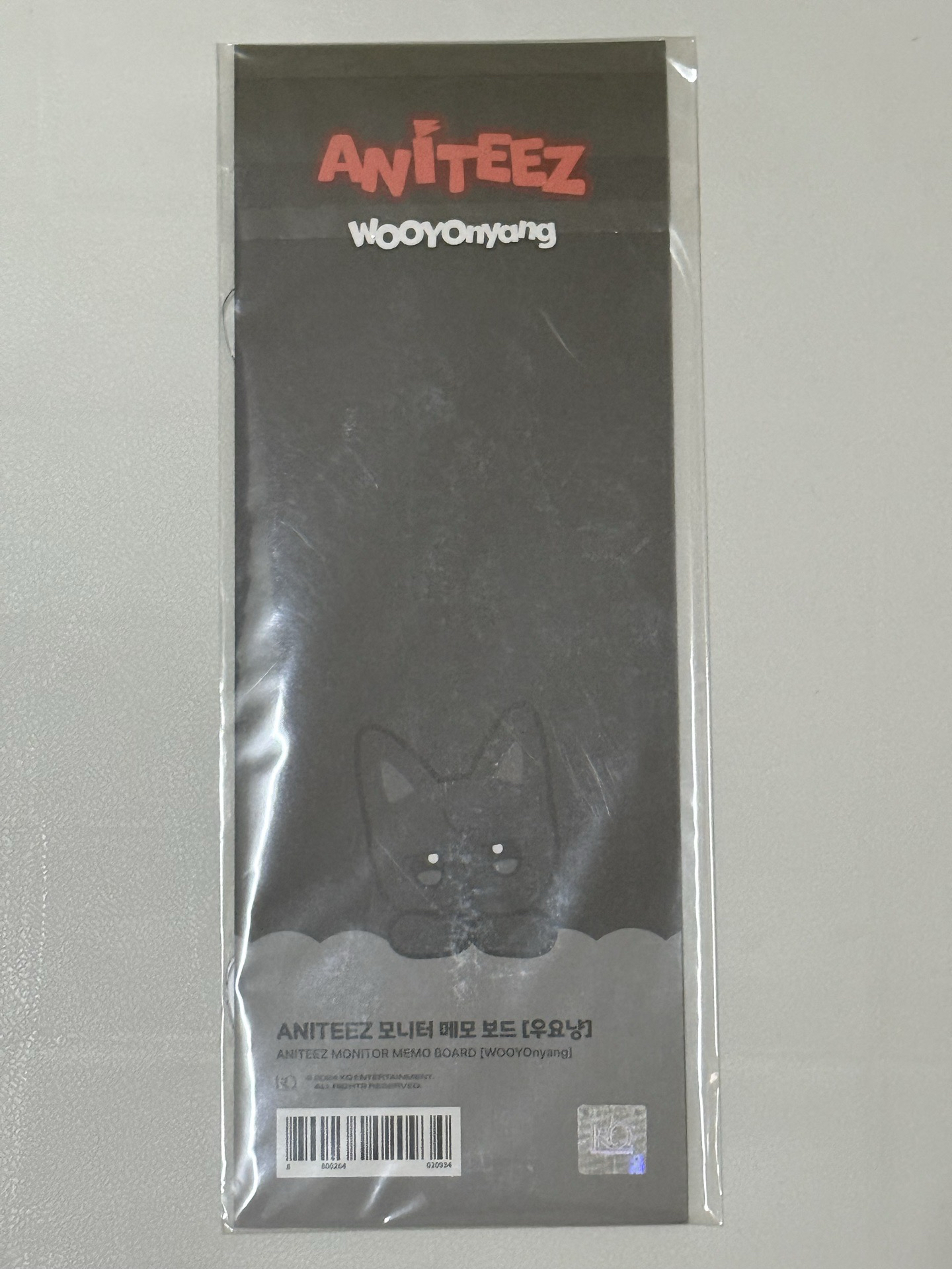 ANITEEZ IN ICE CITY - MONITOR MEMO BOARD（榮）