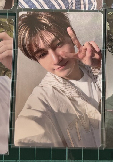 2025演唱會卡包卡