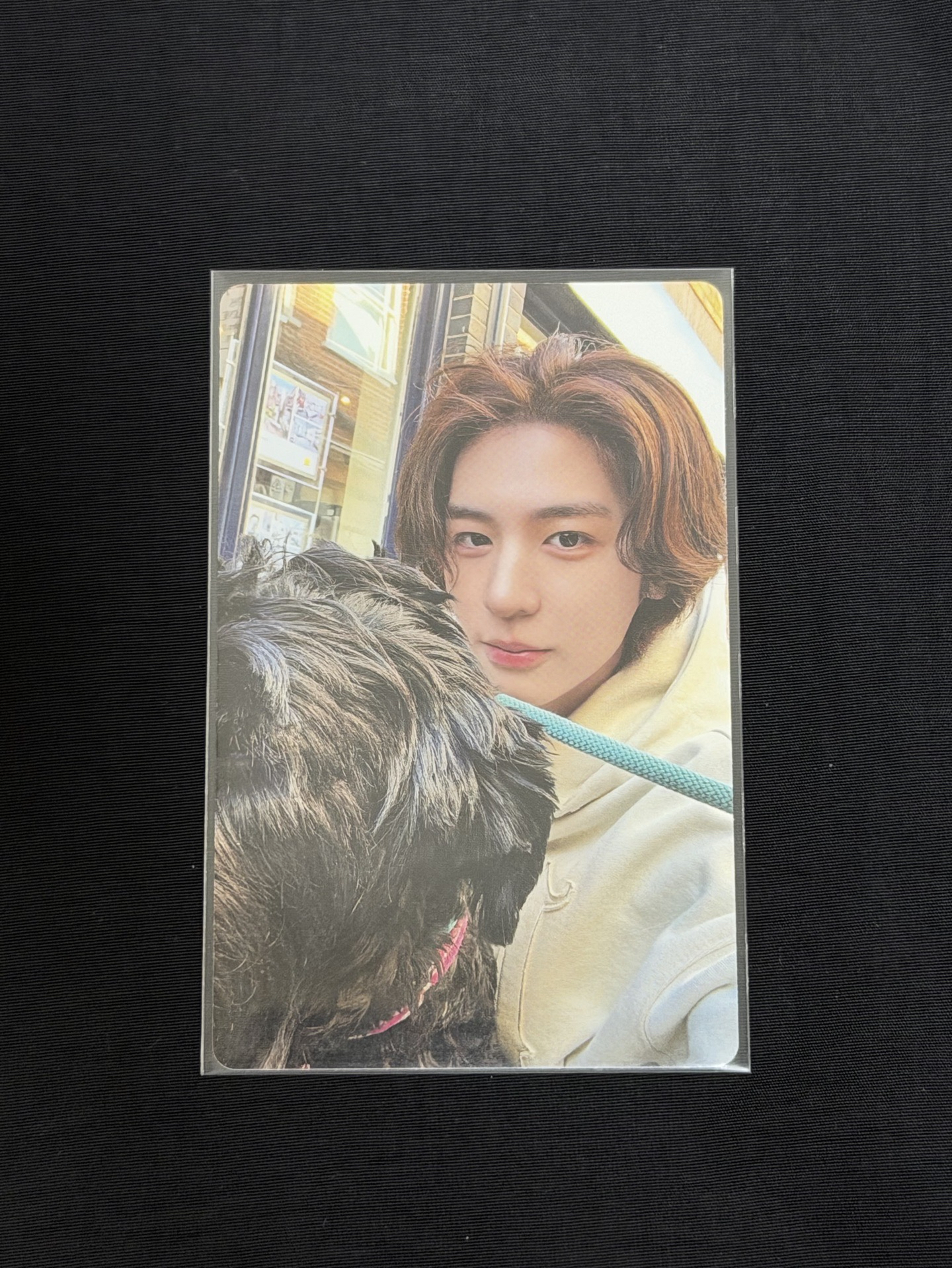 BOYNEXTDOOR 李涵/雲鶴 專卡