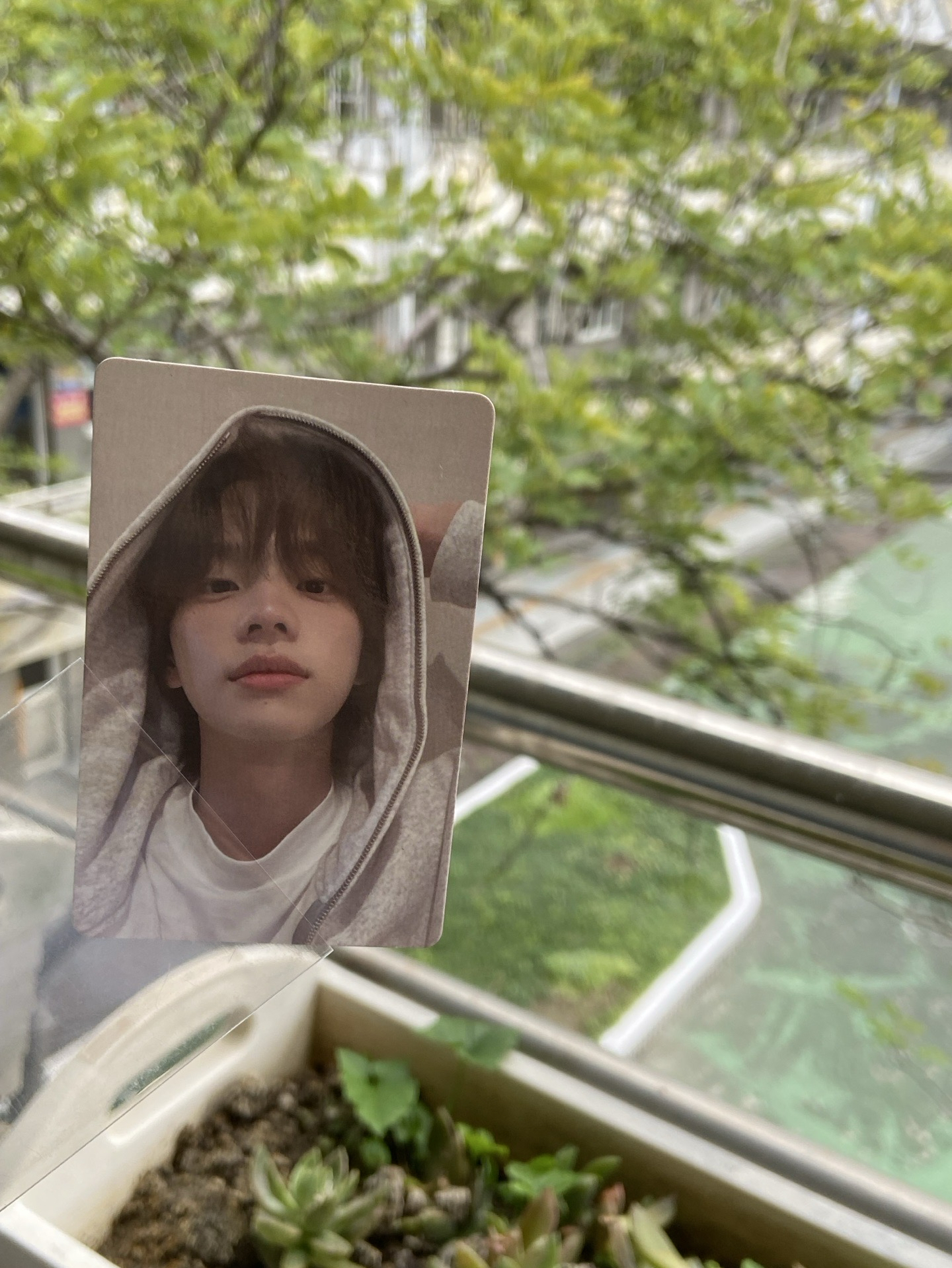 Sparkling Blue 專輯卡 電子專  SHINYU 