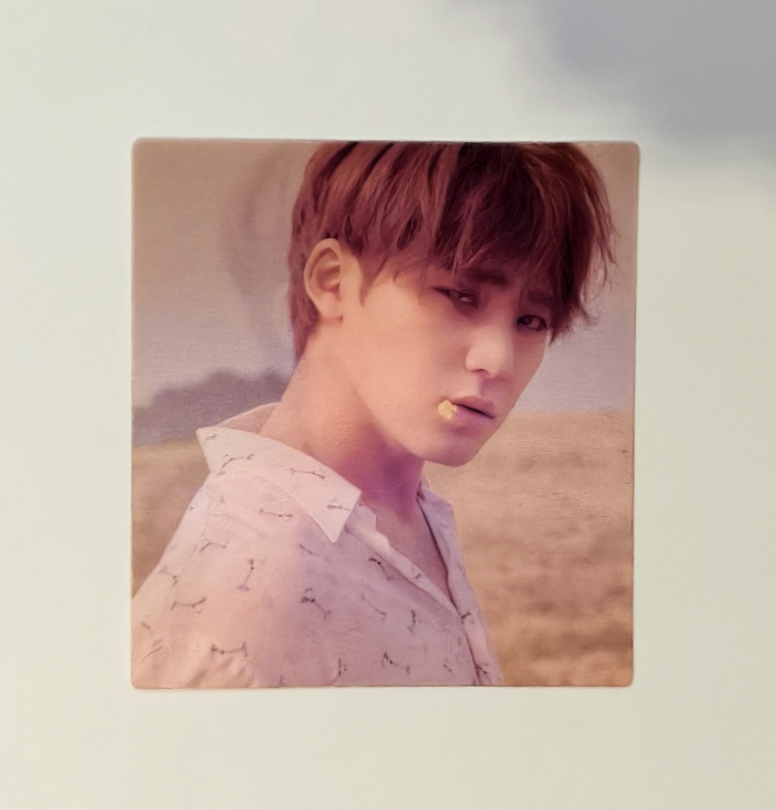 迷五變化卡 奎、燦