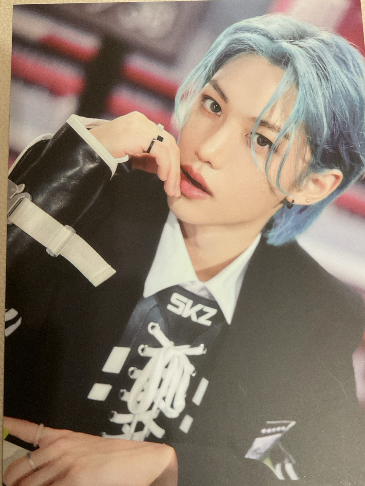 五星蛋巡 菲資料夾組$500（勿下）