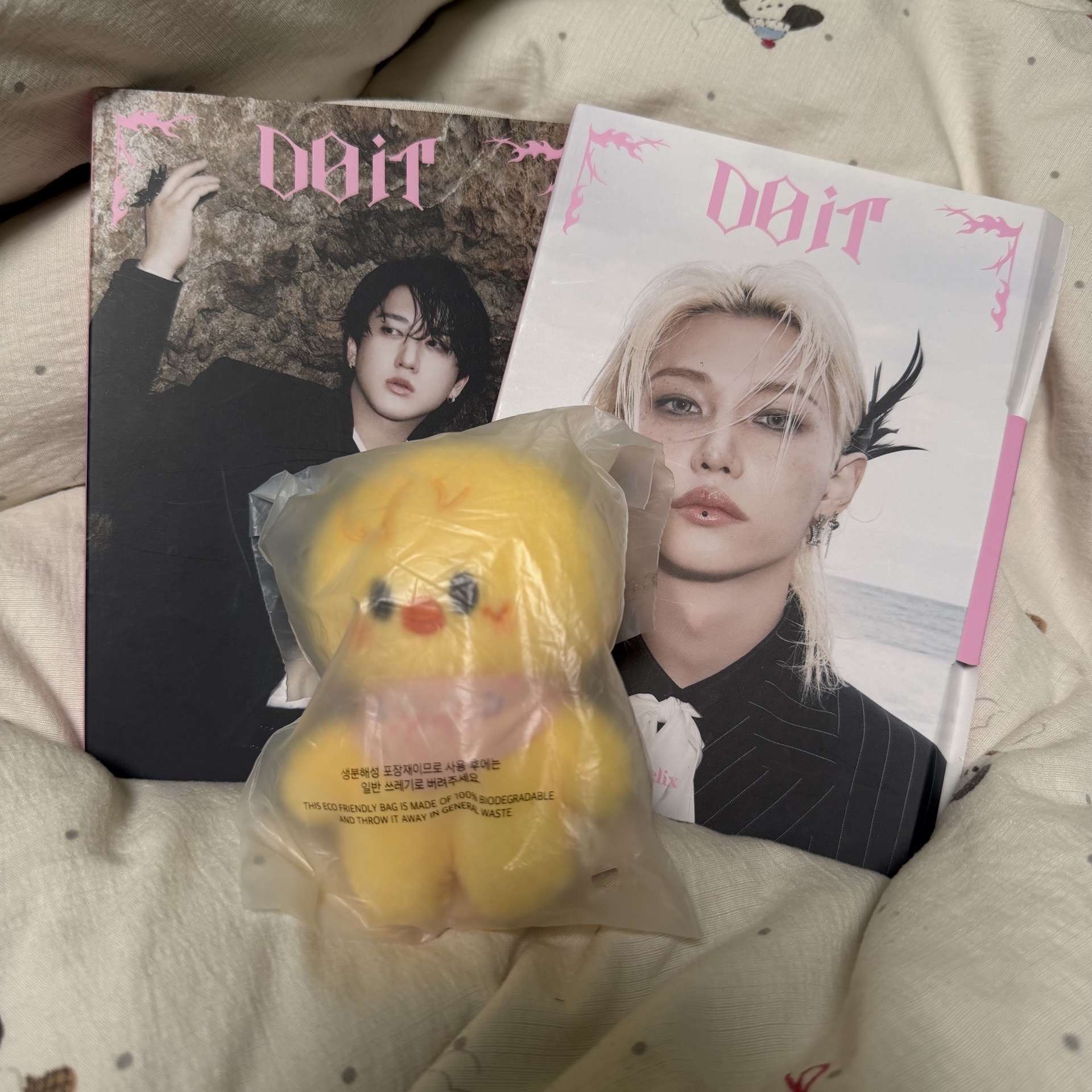 菲口水巾娃+彬菲單封空專